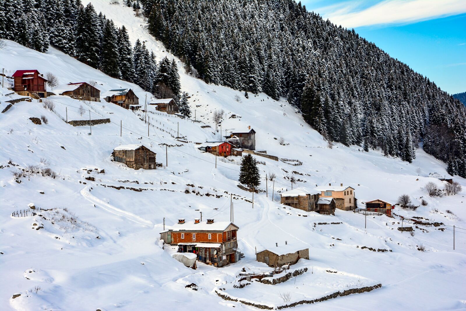 Nikon D7100 sample photo. Snow, mountain, forest photography