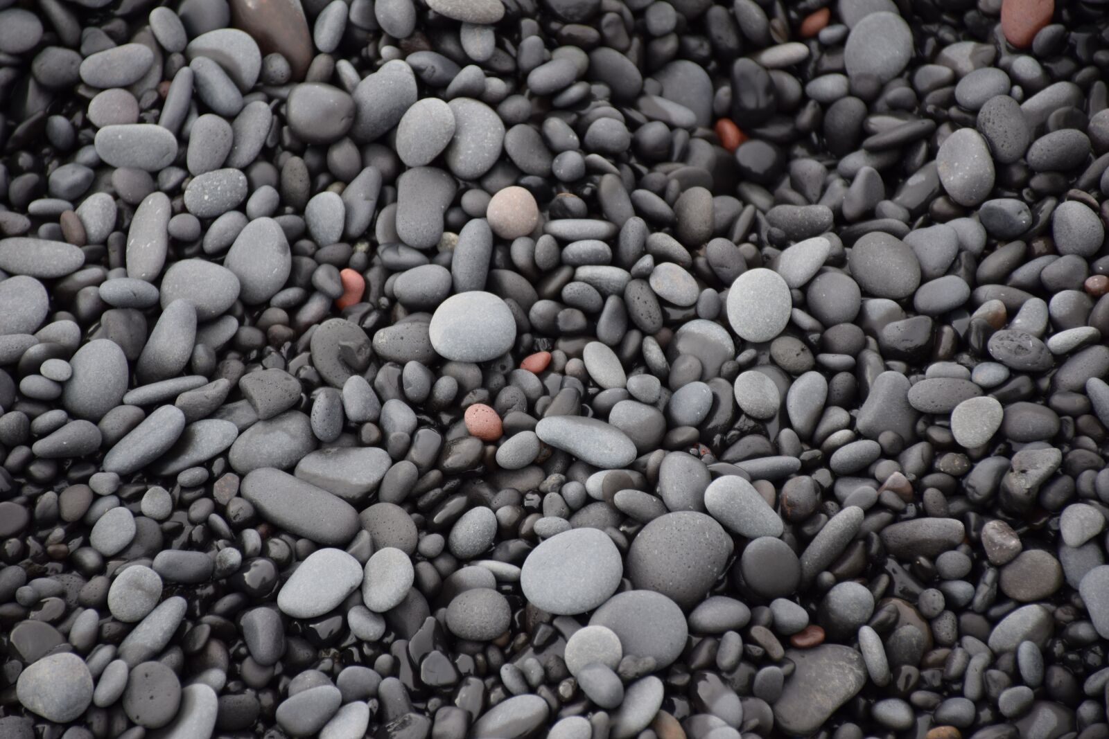 Nikon D5300 sample photo. Stones, pattern, beach photography