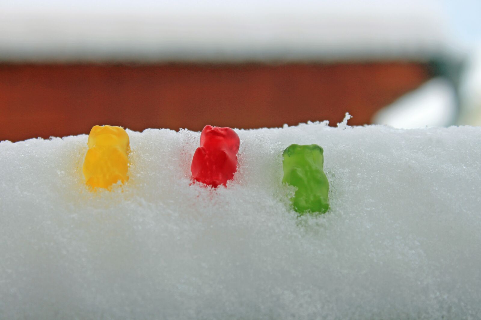Canon EOS 500D (EOS Rebel T1i / EOS Kiss X3) sample photo. Winter, snow, wintry photography