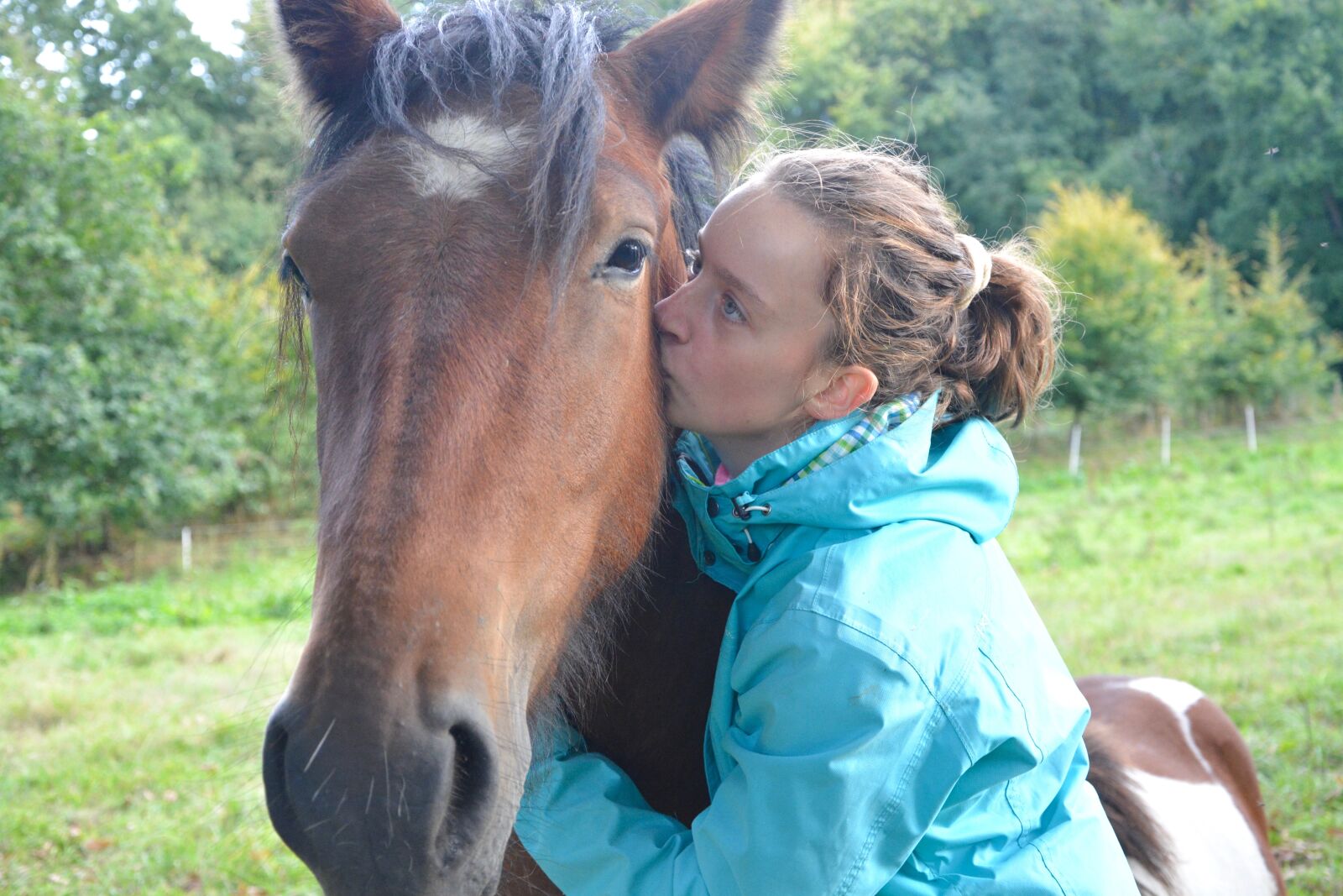 Nikon D5200 sample photo. Kiss, kisses, horse photography