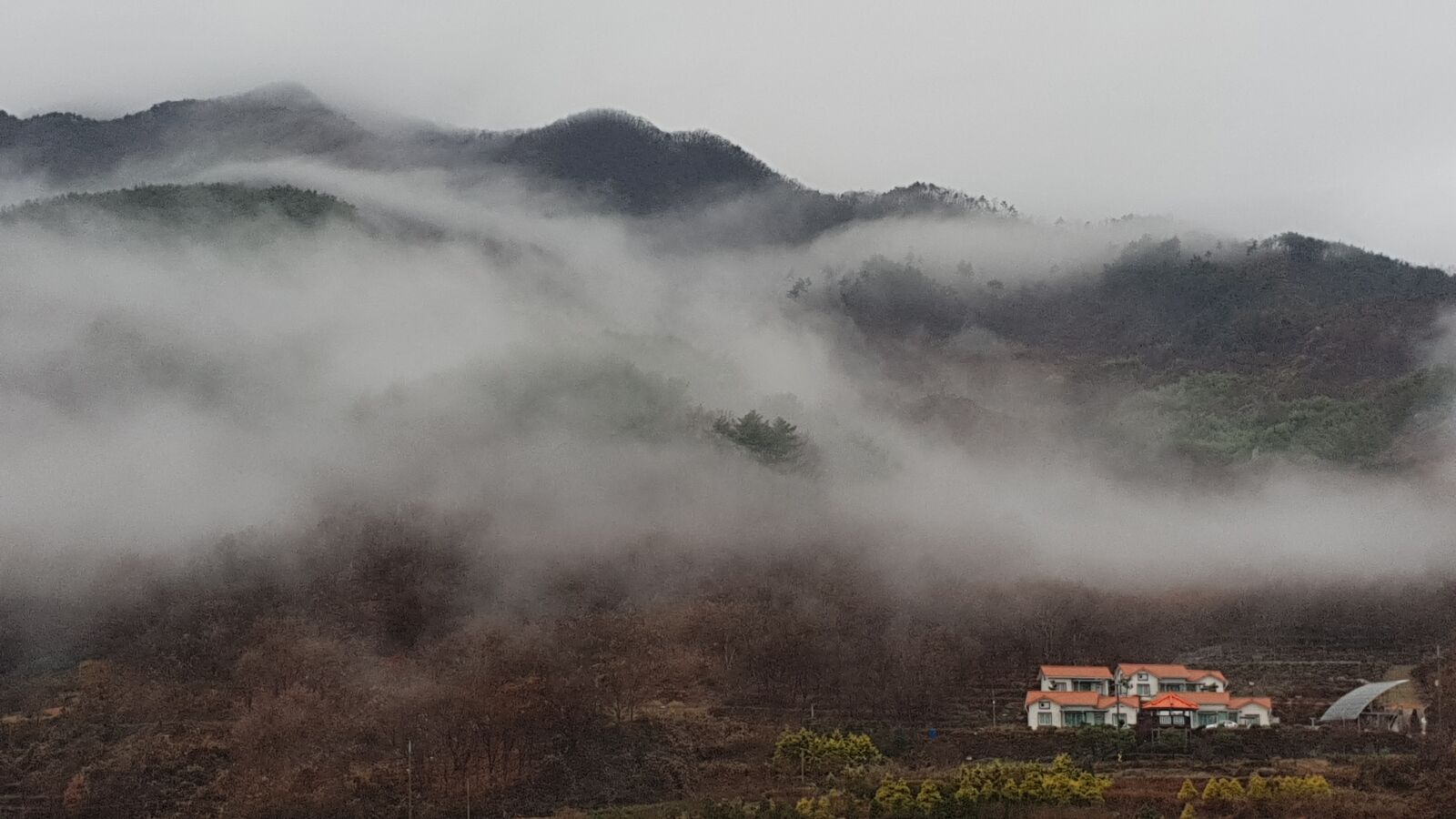 Samsung Galaxy S9 sample photo. Mistweaver, jiri, nature photography