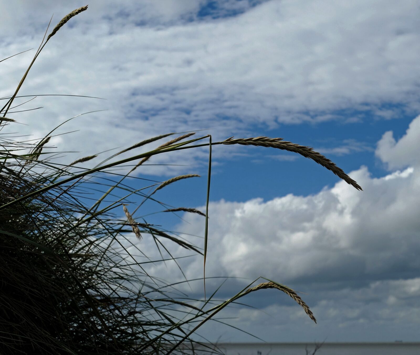 Panasonic Lumix DMC-LX10 (Lumix DMC-LX15) sample photo. D hne, beach, north photography