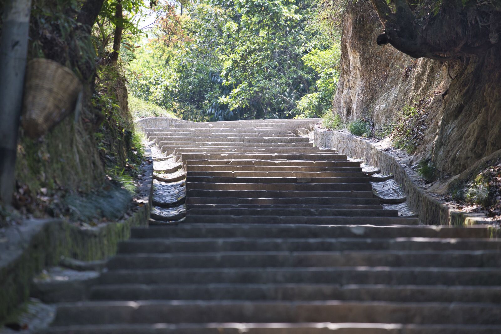 Canon EF 70-300mm F4-5.6L IS USM sample photo. Stairs, green, park photography