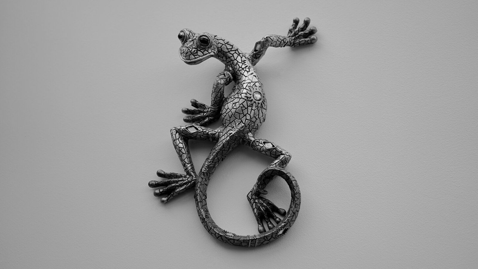 Sony a7 + Sony FE 28-70mm F3.5-5.6 OSS sample photo. Lizard, ornamental, ornament photography