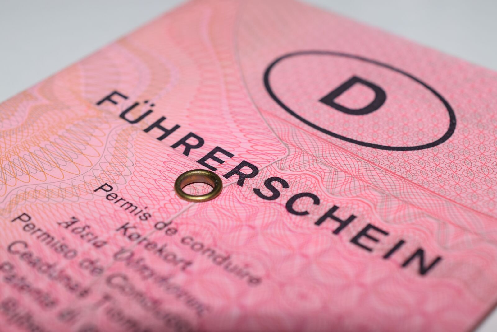 Nikon D3300 sample photo. Driver's license, driving licence photography