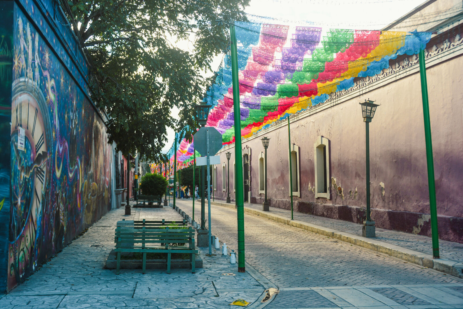 Nikon D7100 sample photo. Street of comayagua photography