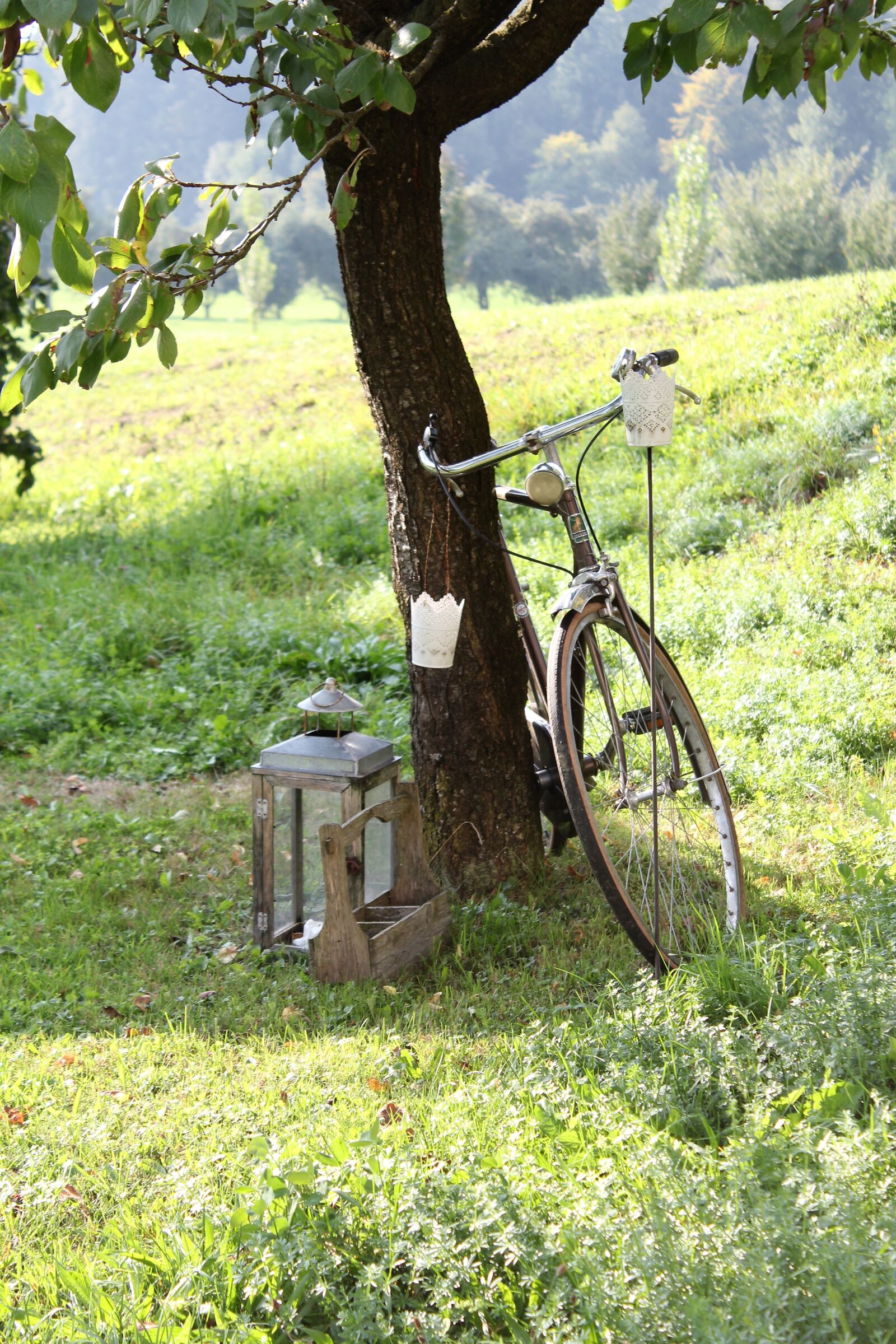 Canon EOS 1200D (EOS Rebel T5 / EOS Kiss X70 / EOS Hi) sample photo. Velo, retro, vintage photography