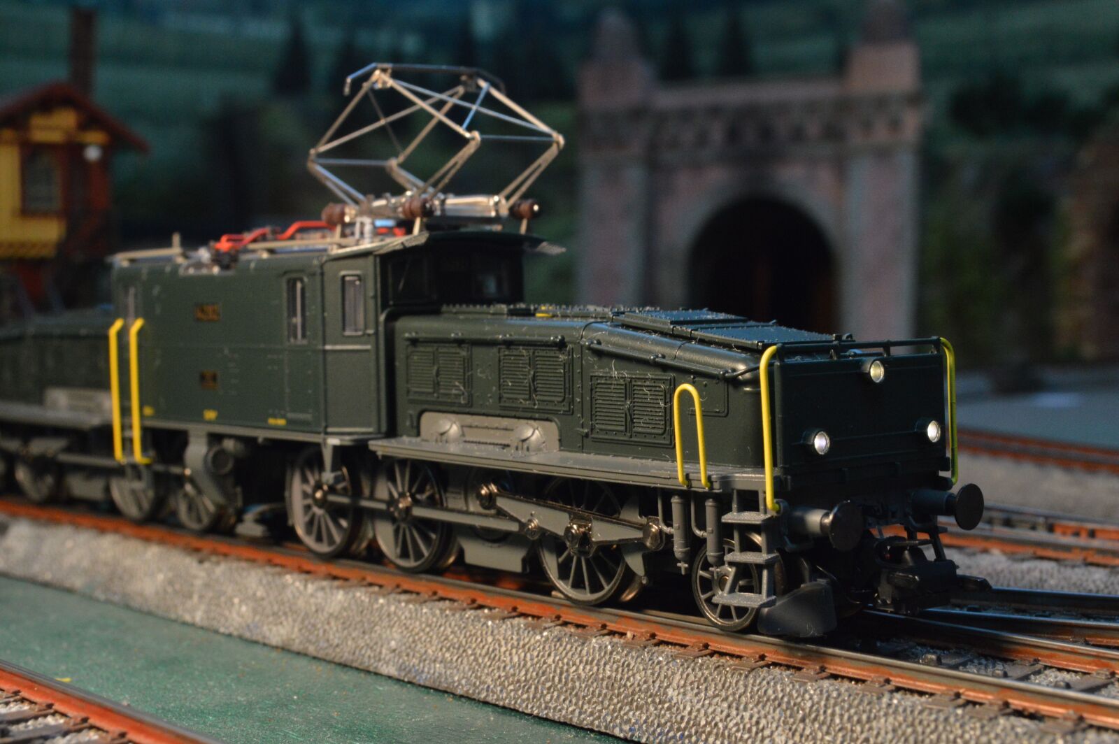 Nikon D3200 sample photo. Krokodil, märklin, crocodile photography