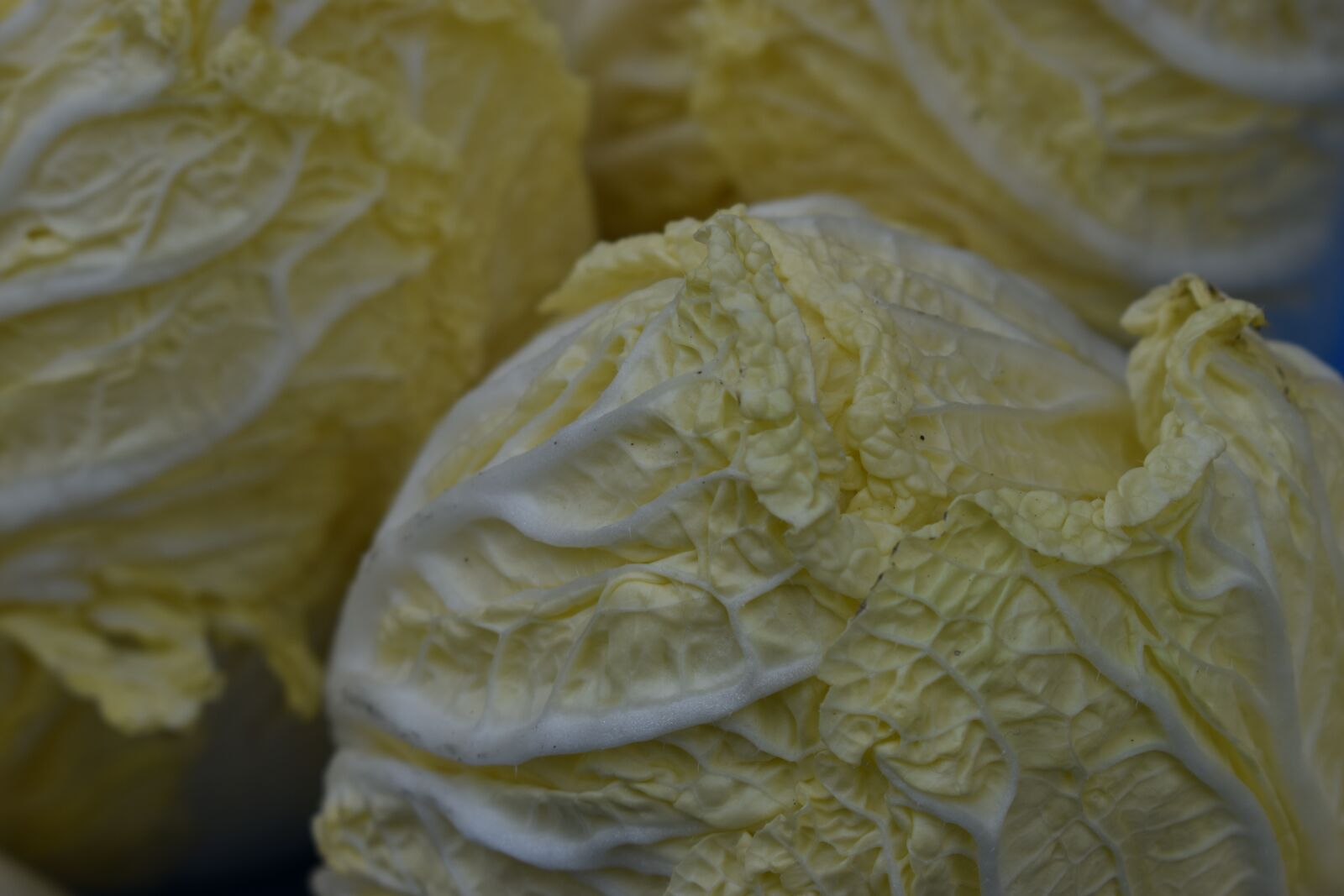 Nikon D3500 sample photo. Vegetable, leaf, food photography