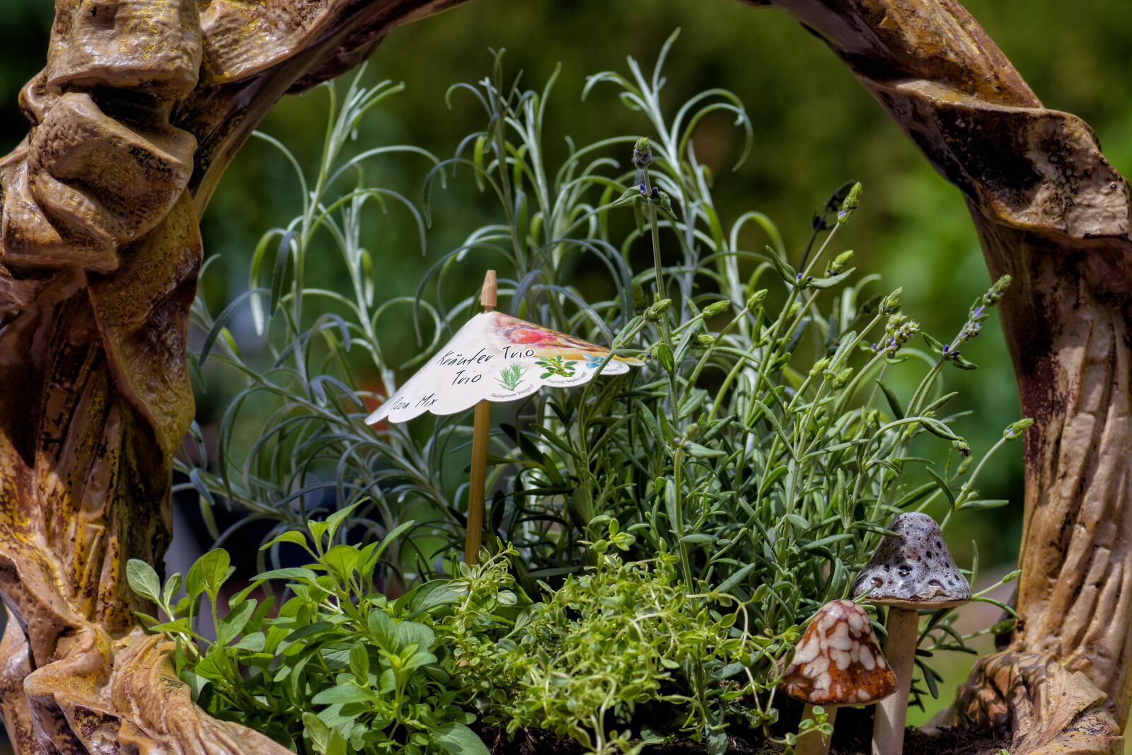 Nikon D7200 sample photo. Herbs, bio, rosemary photography