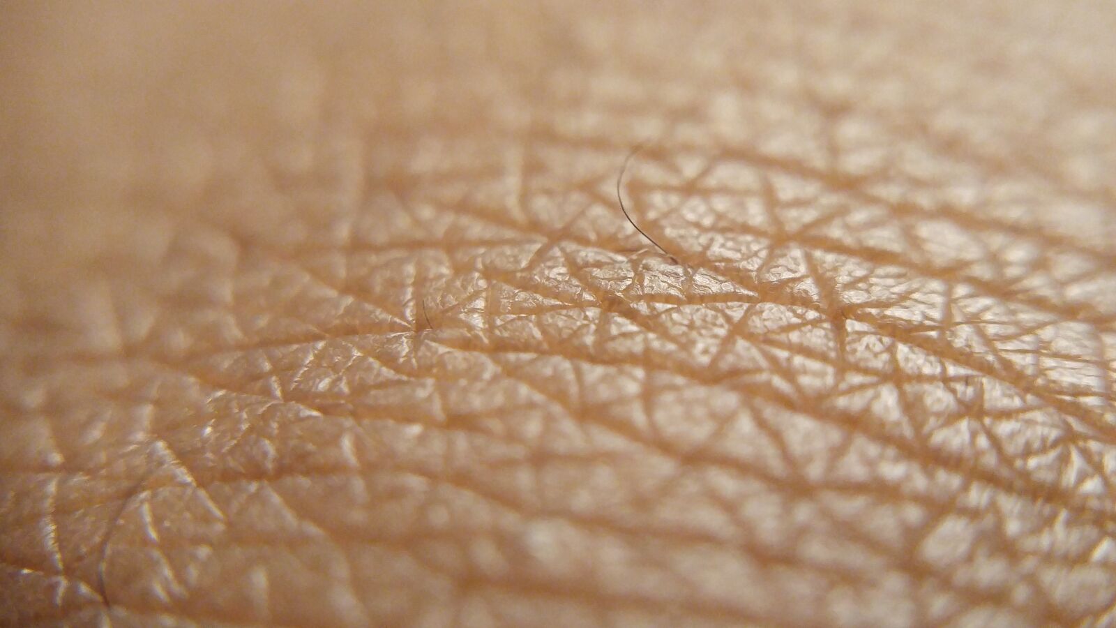 LG G4 sample photo. Skin, brown skin, skin photography