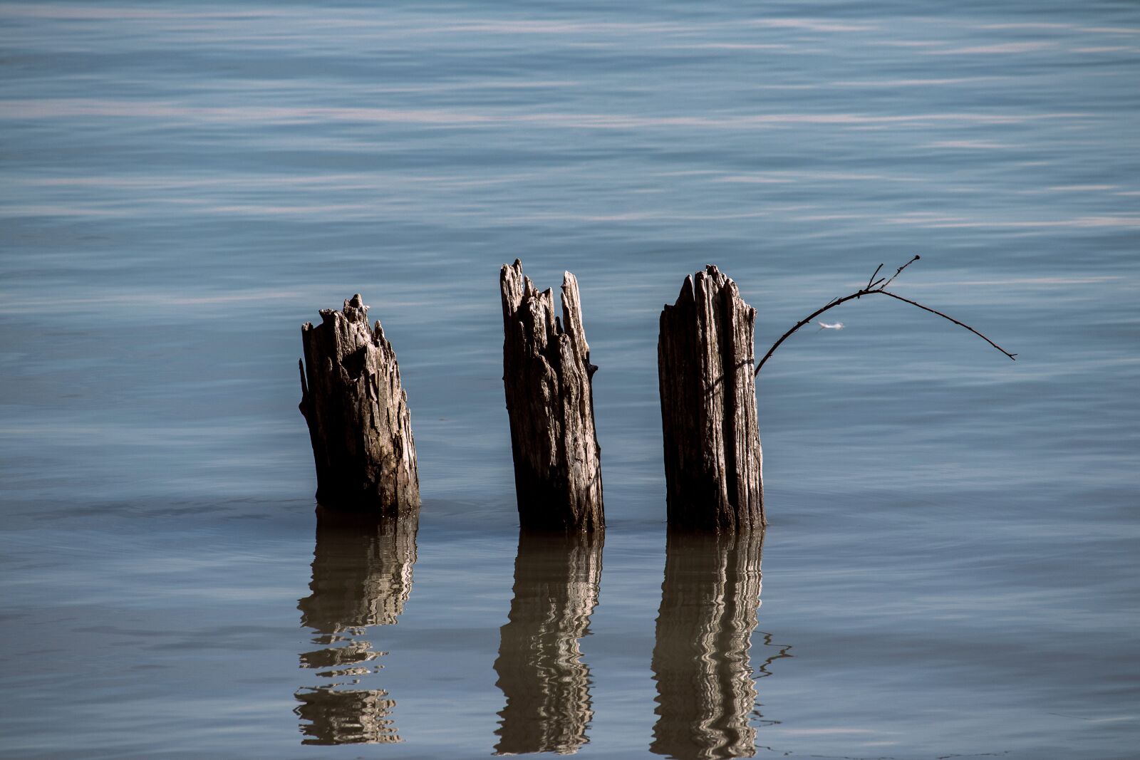 Canon EF-S 55-250mm F4-5.6 IS STM sample photo. Piles, water, wood photography