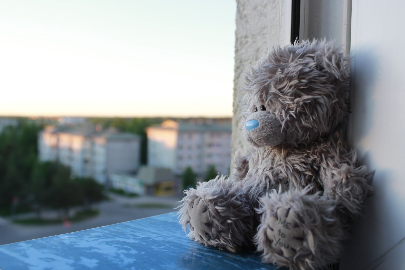 Canon EOS 600D (Rebel EOS T3i / EOS Kiss X5) sample photo. Window, teddy, bear photography