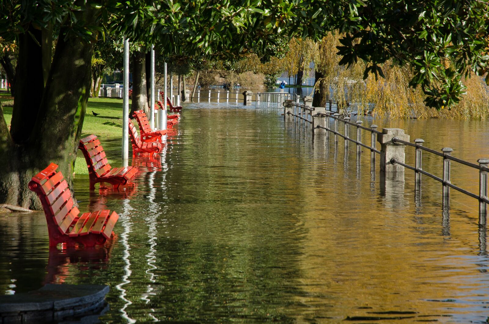 Nikon D7000 sample photo. Water, benches, nature photography