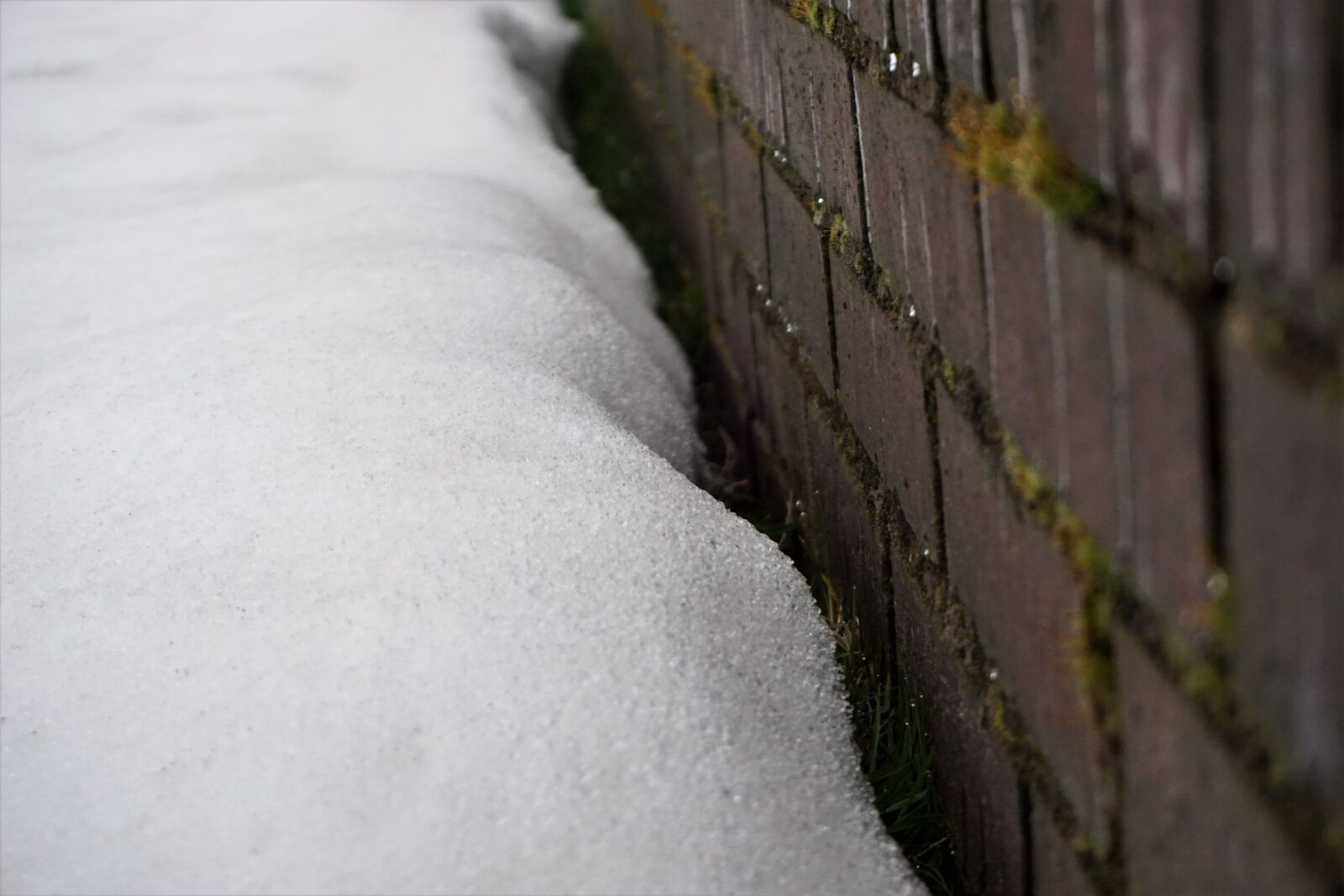 Sony E 16-50mm F3.5-5.6 PZ OSS sample photo. Outdoors, nature, winter photography