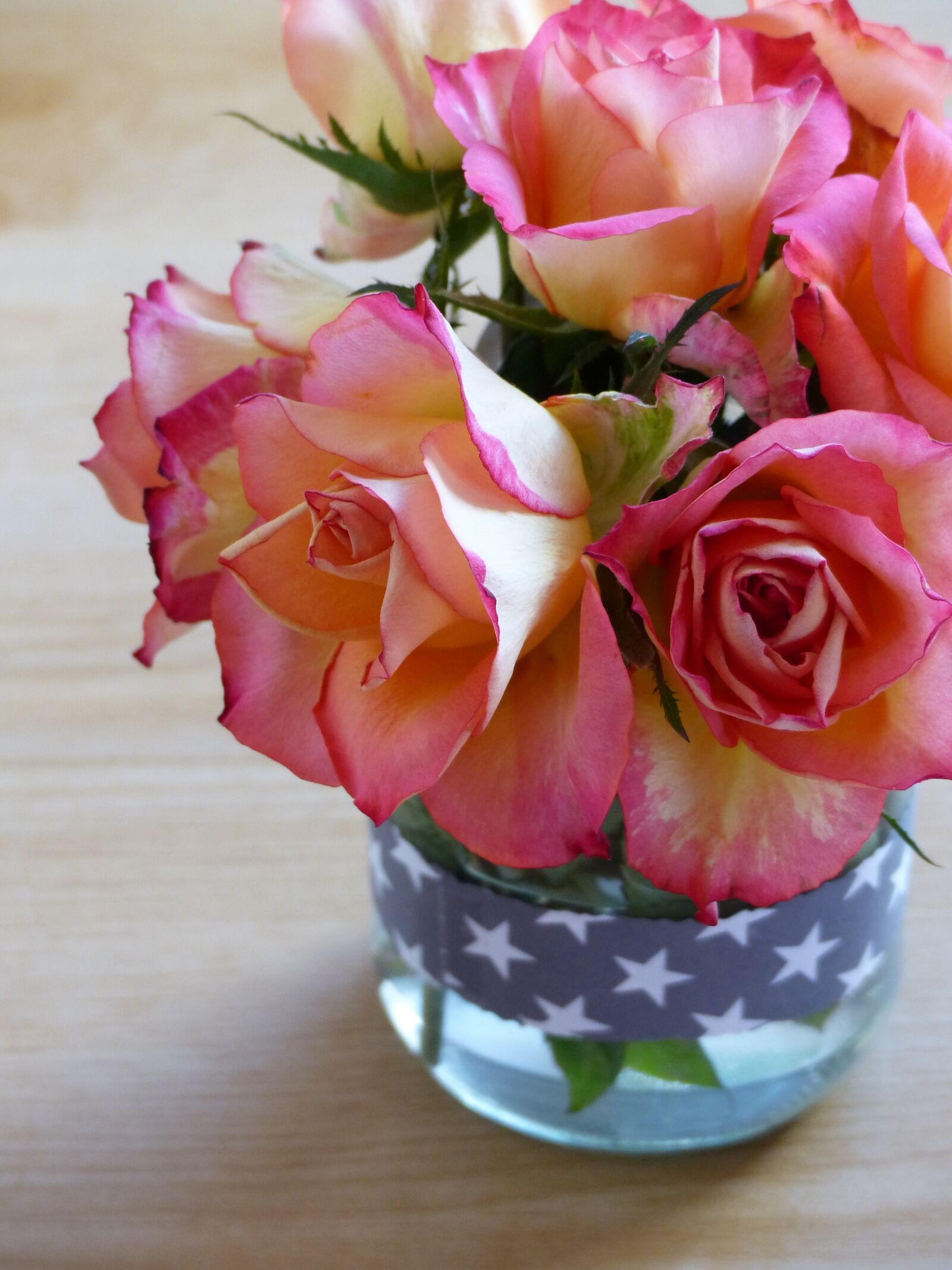 Panasonic Lumix DMC-FZ200 sample photo. Flowers, nature, roses photography