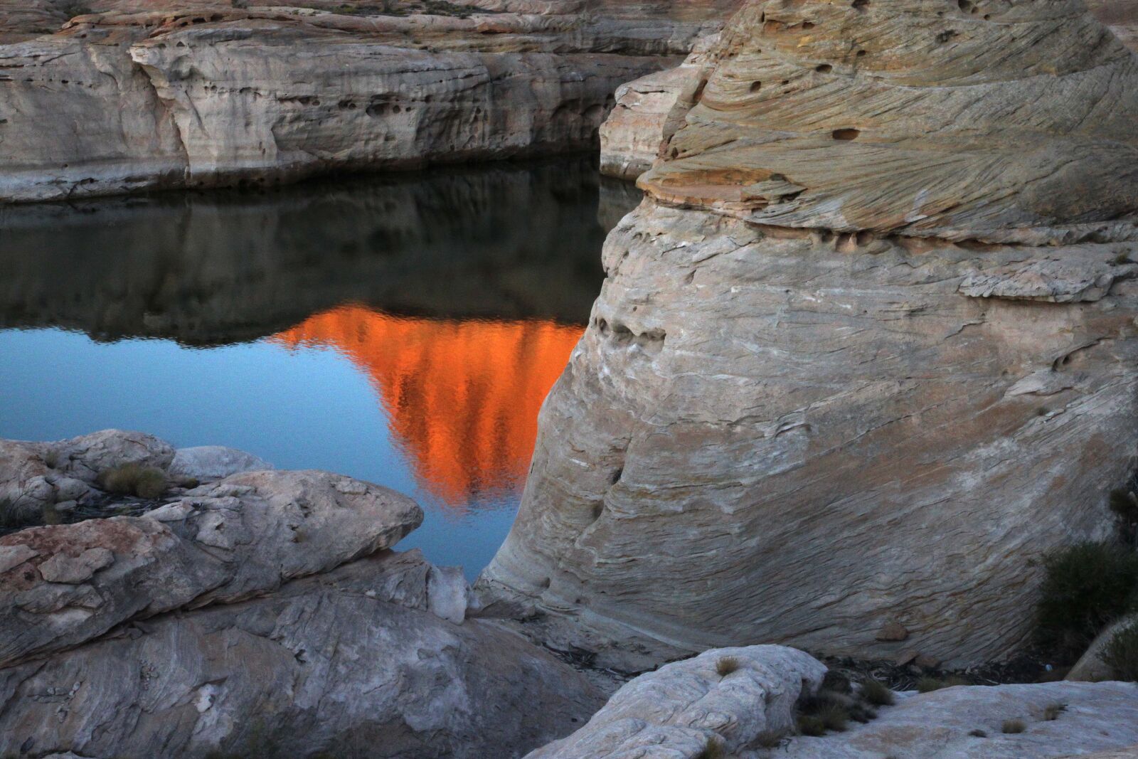 Canon EOS 500D (EOS Rebel T1i / EOS Kiss X3) sample photo. Body, of, water, photo photography
