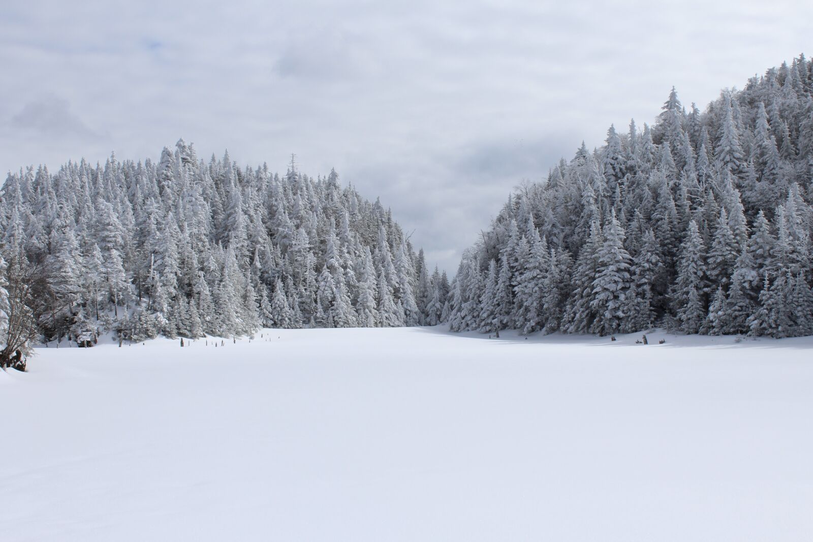Canon EOS 1200D (EOS Rebel T5 / EOS Kiss X70 / EOS Hi) sample photo. Snow, winter, landscape photography