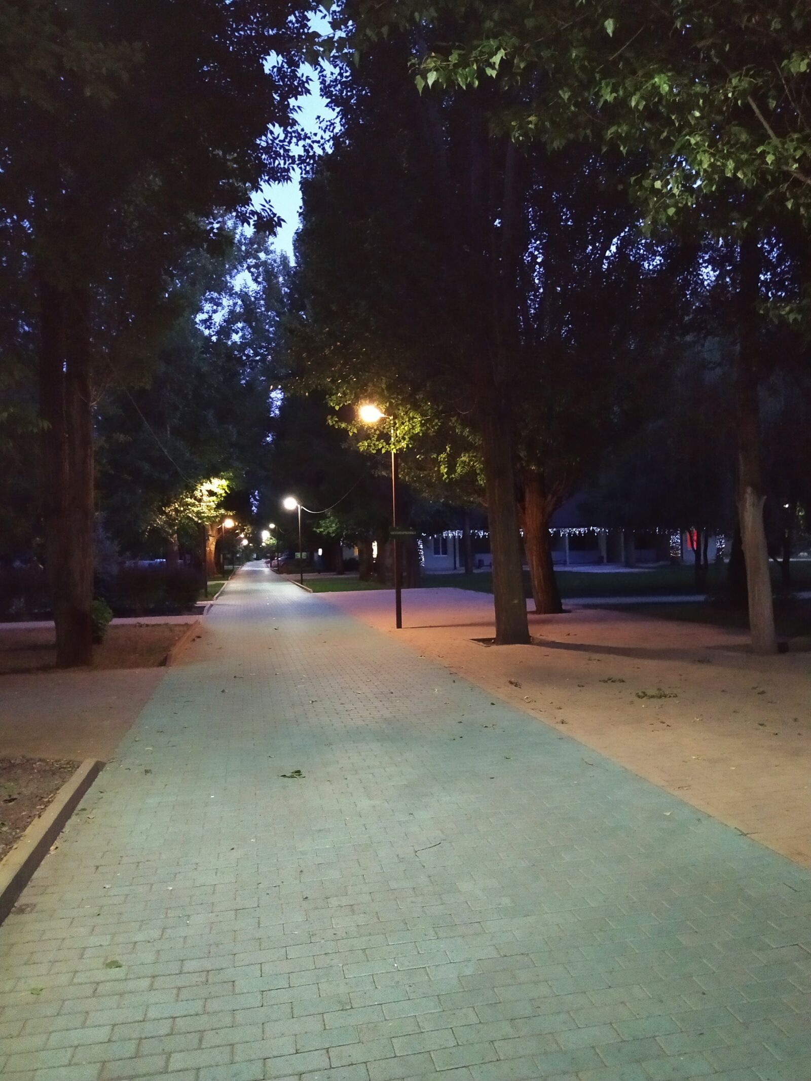 Xiaomi Redmi Note 7 sample photo. Park, twilight, lights photography