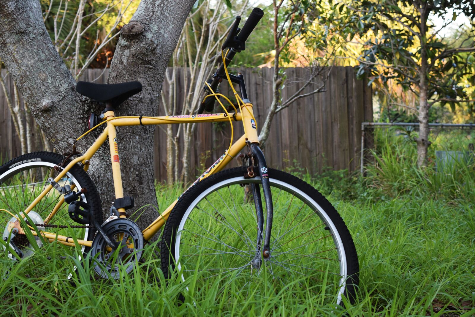 Nikon D3300 sample photo. Abandoned, bike, bicycle photography