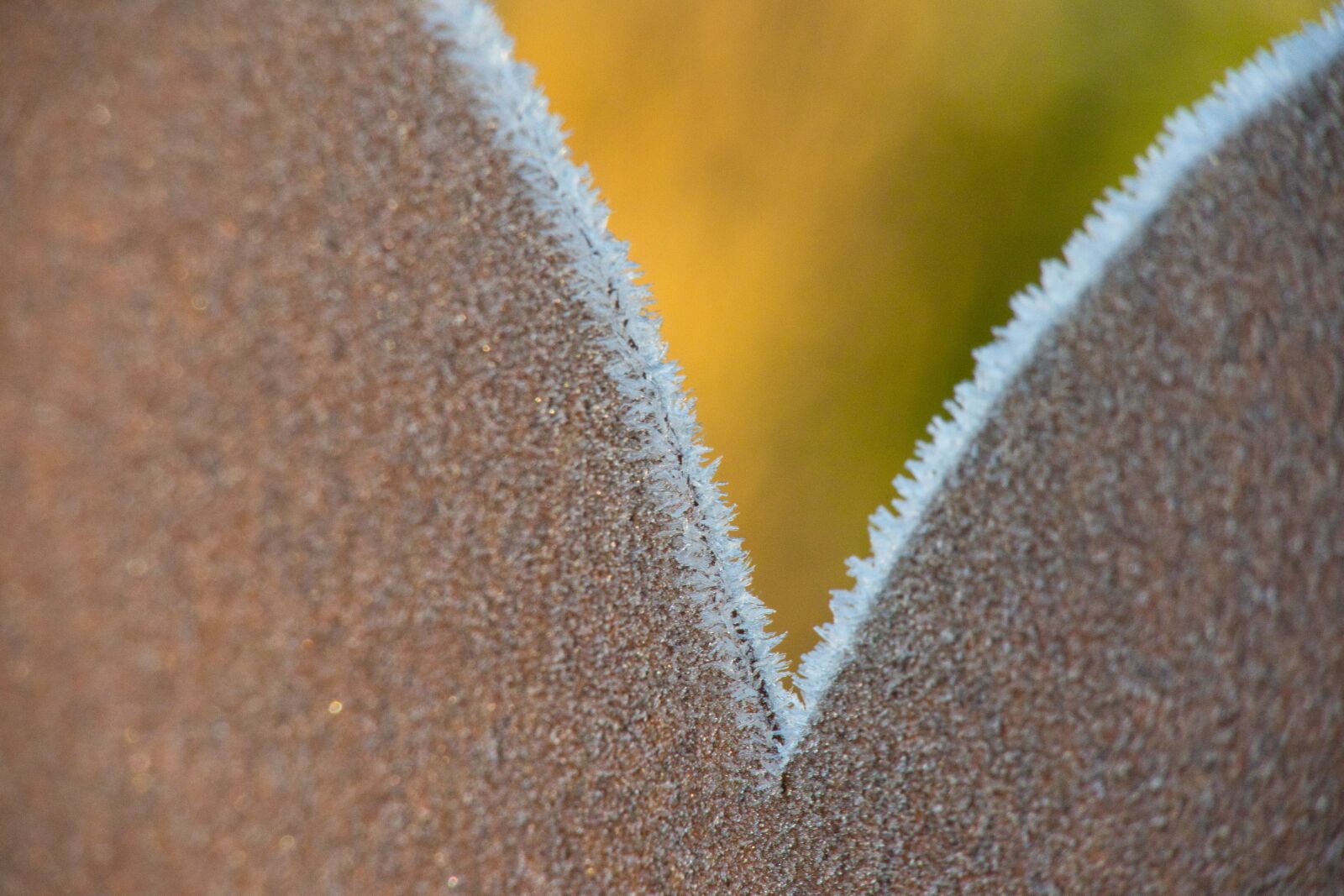 Canon PowerShot G3 X sample photo. Rust, heart, hoarfrost photography