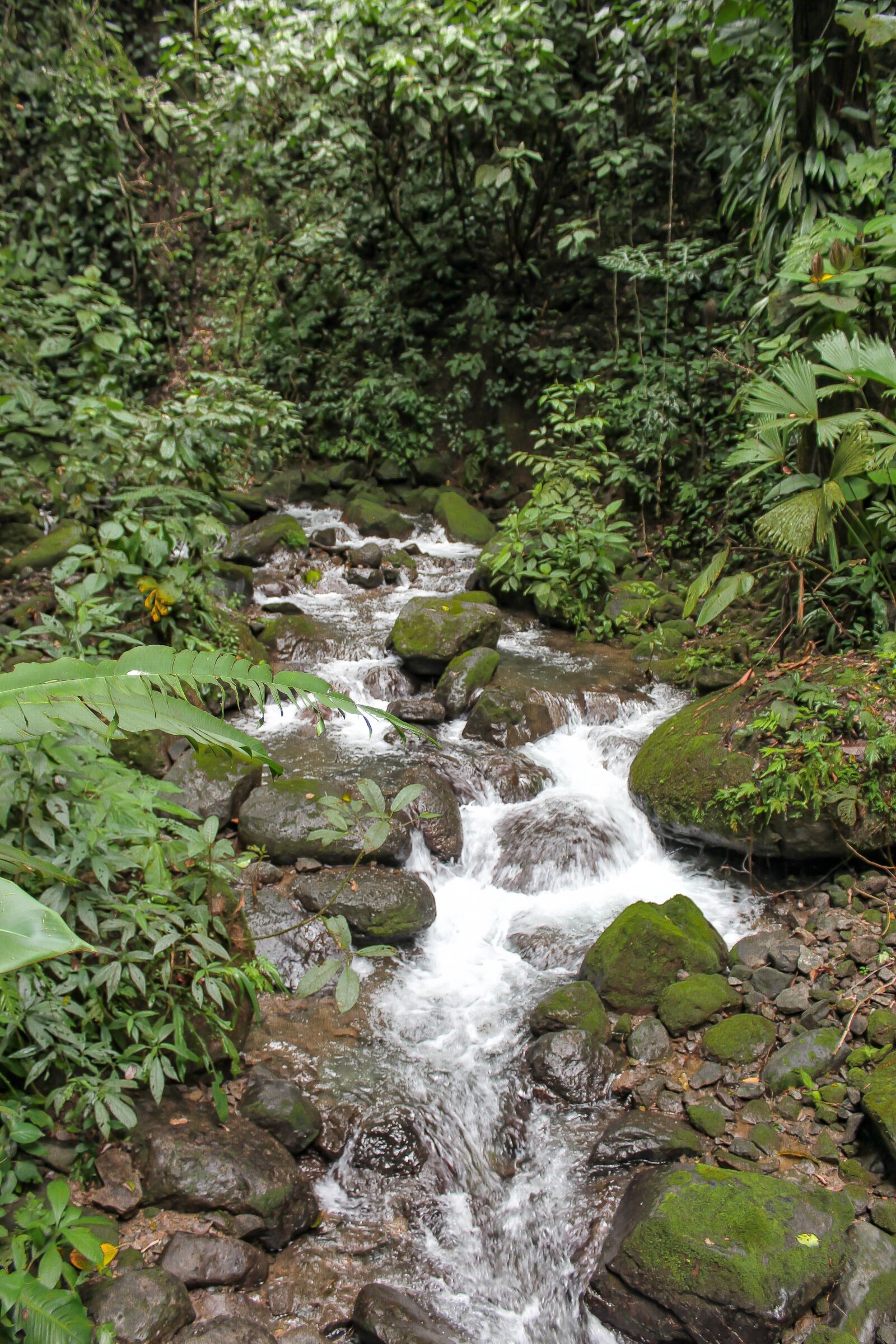 Canon EOS 1200D (EOS Rebel T5 / EOS Kiss X70 / EOS Hi) sample photo. Waterfall, jungle, rainforest photography