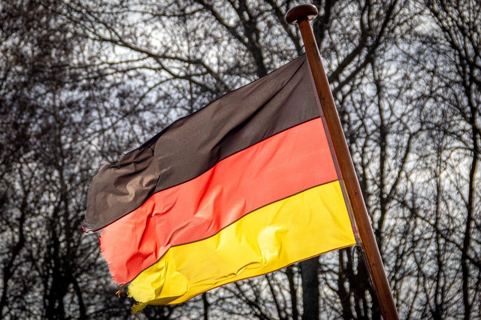 Canon EOS 80D sample photo. Flag, germany, colorful photography