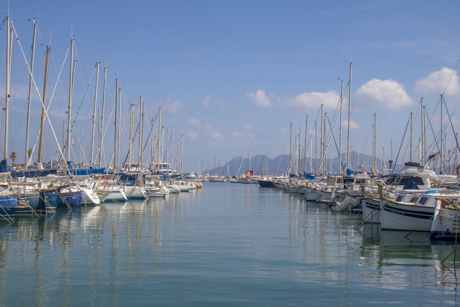 Canon EOS 750D (EOS Rebel T6i / EOS Kiss X8i) sample photo. Mallorca, port de pollen photography