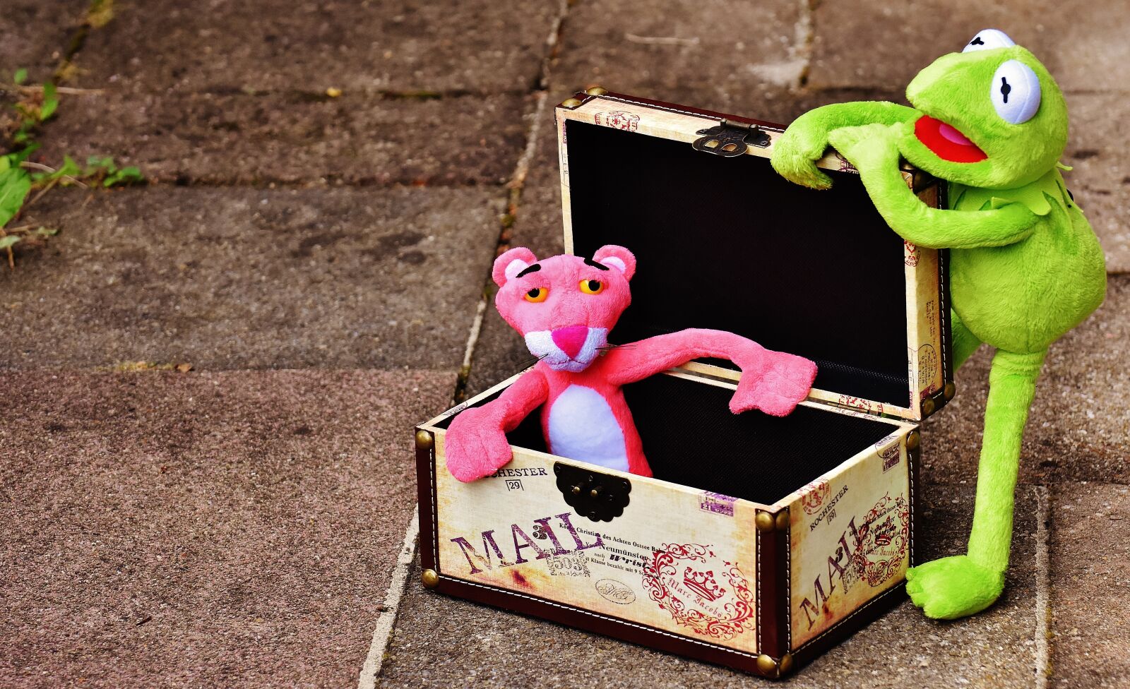 Nikon D7200 sample photo. Plush toys, kermit, the photography
