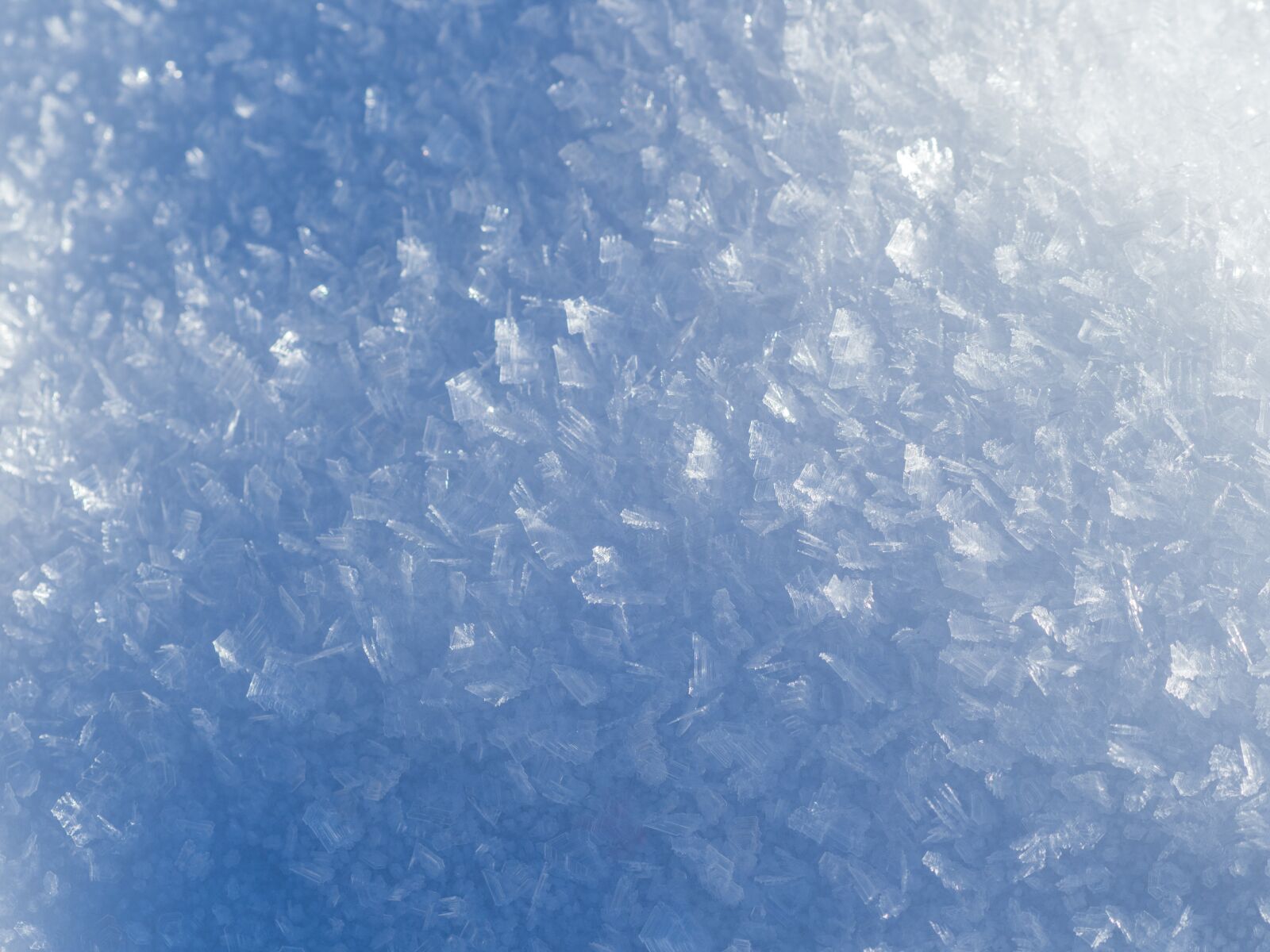 Olympus M.Zuiko Digital ED 75mm F1.8 sample photo. Texture, ice, frozen photography