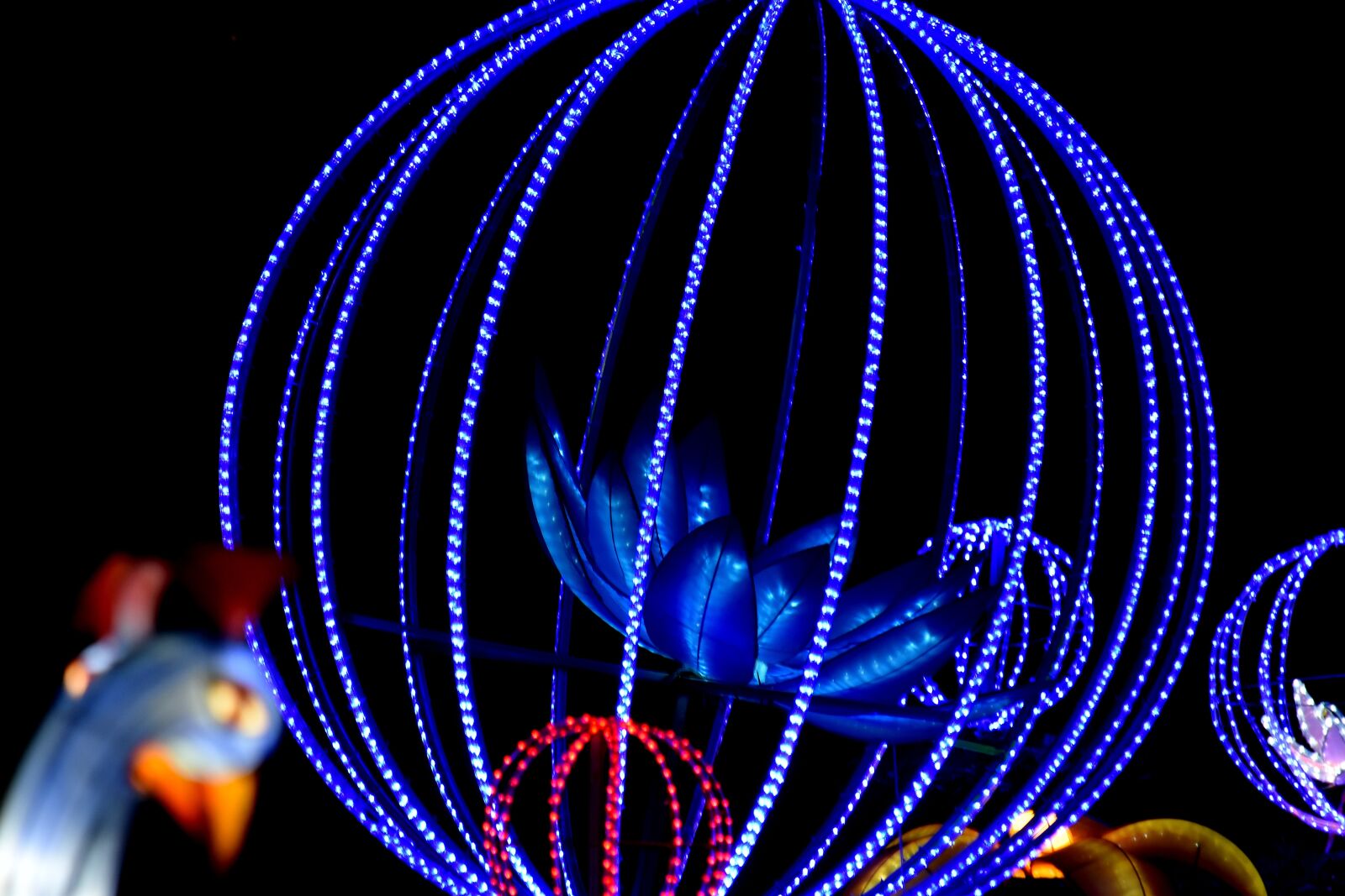 Nikon D5500 sample photo. Art, blue, flower, handmade photography