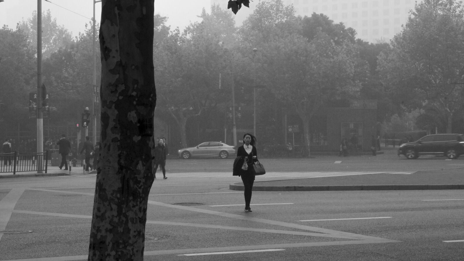 Sony SLT-A57 sample photo. Shanghai, city, china photography