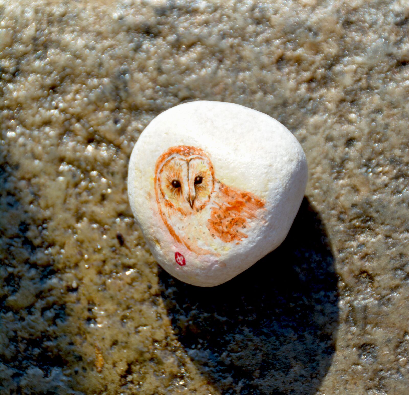 Nikon D5200 sample photo. Owl, bird, stone photography