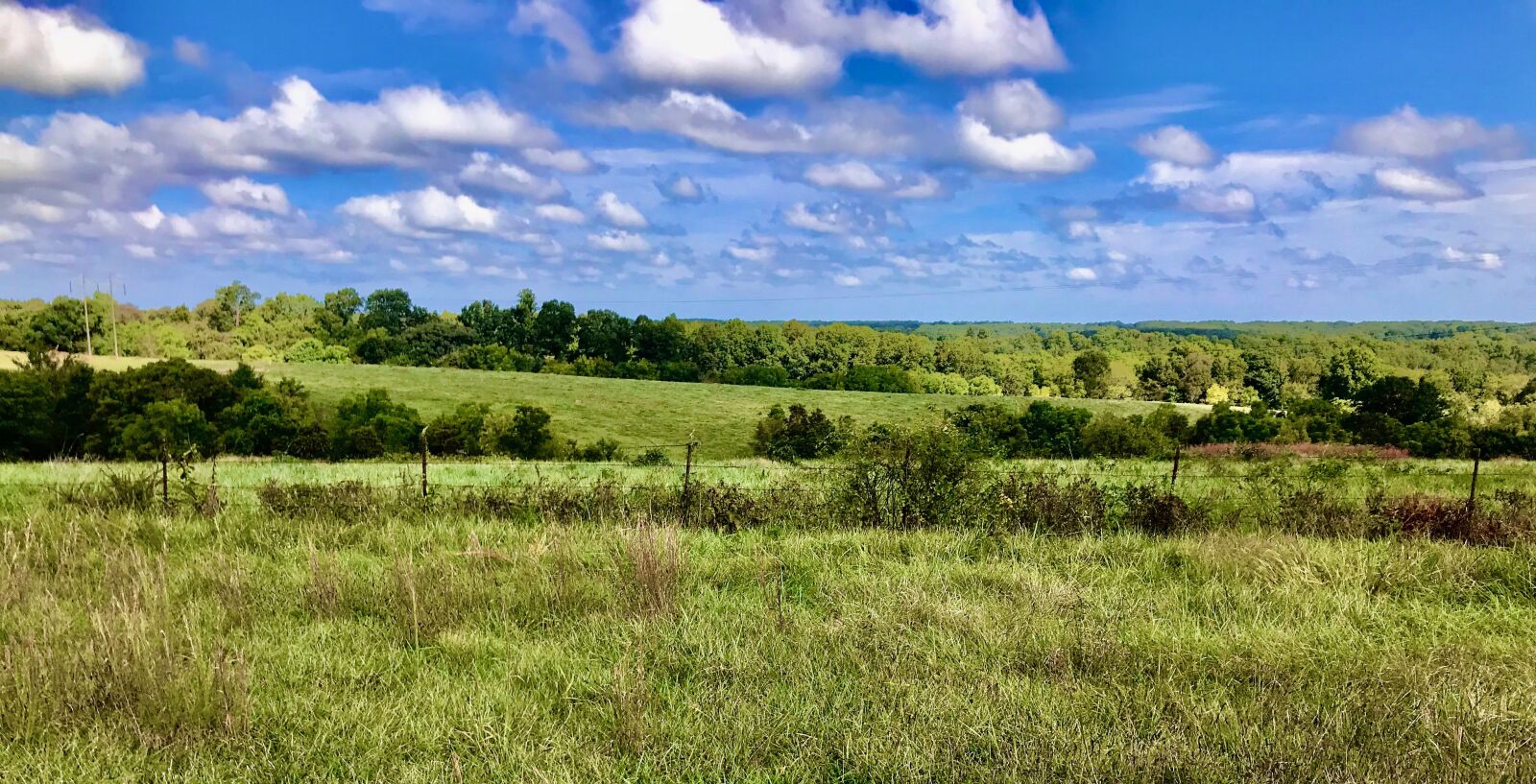 iPhone 7 back camera 3.99mm f/1.8 sample photo. Ozarks, trees, hills photography