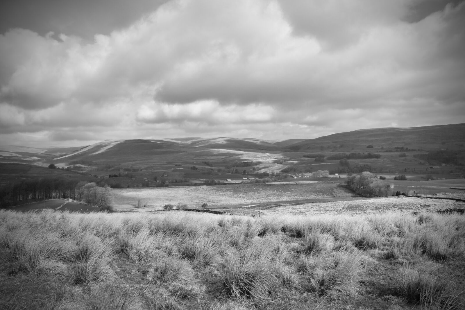 Nikon D5600 sample photo. Yorkshire, english countryside, england photography