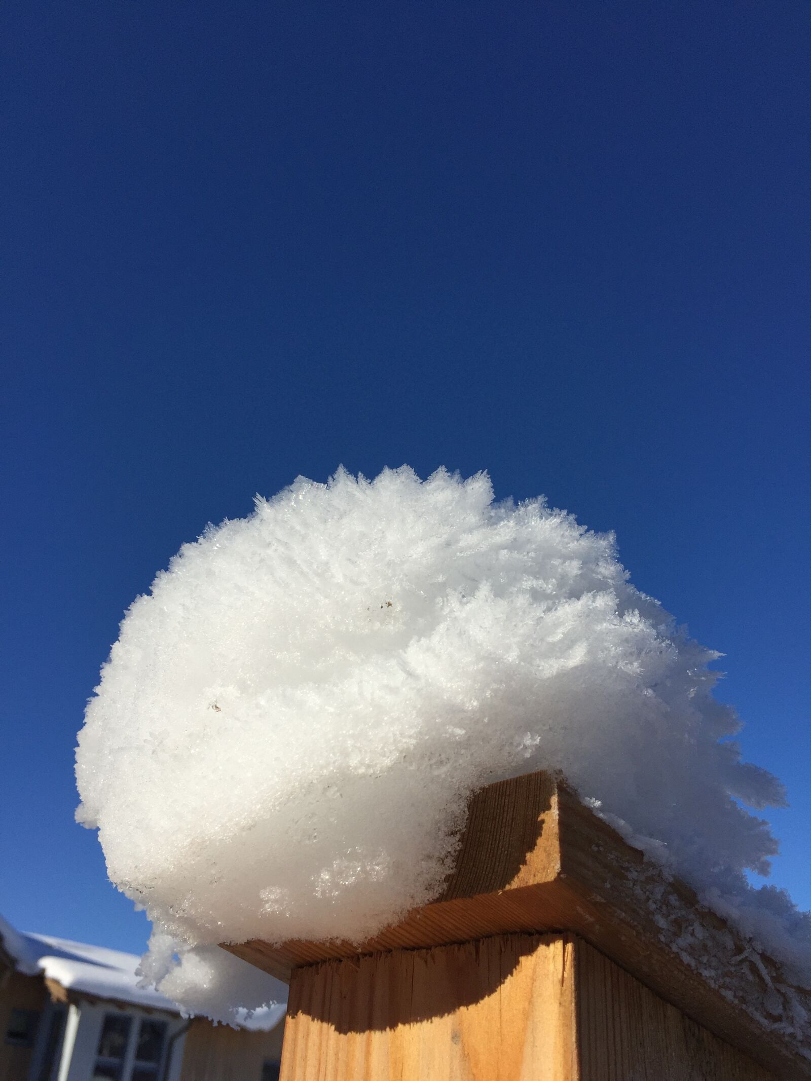 iPhone 6 Plus back camera 4.15mm f/2.2 sample photo. Winter, snow, design photography
