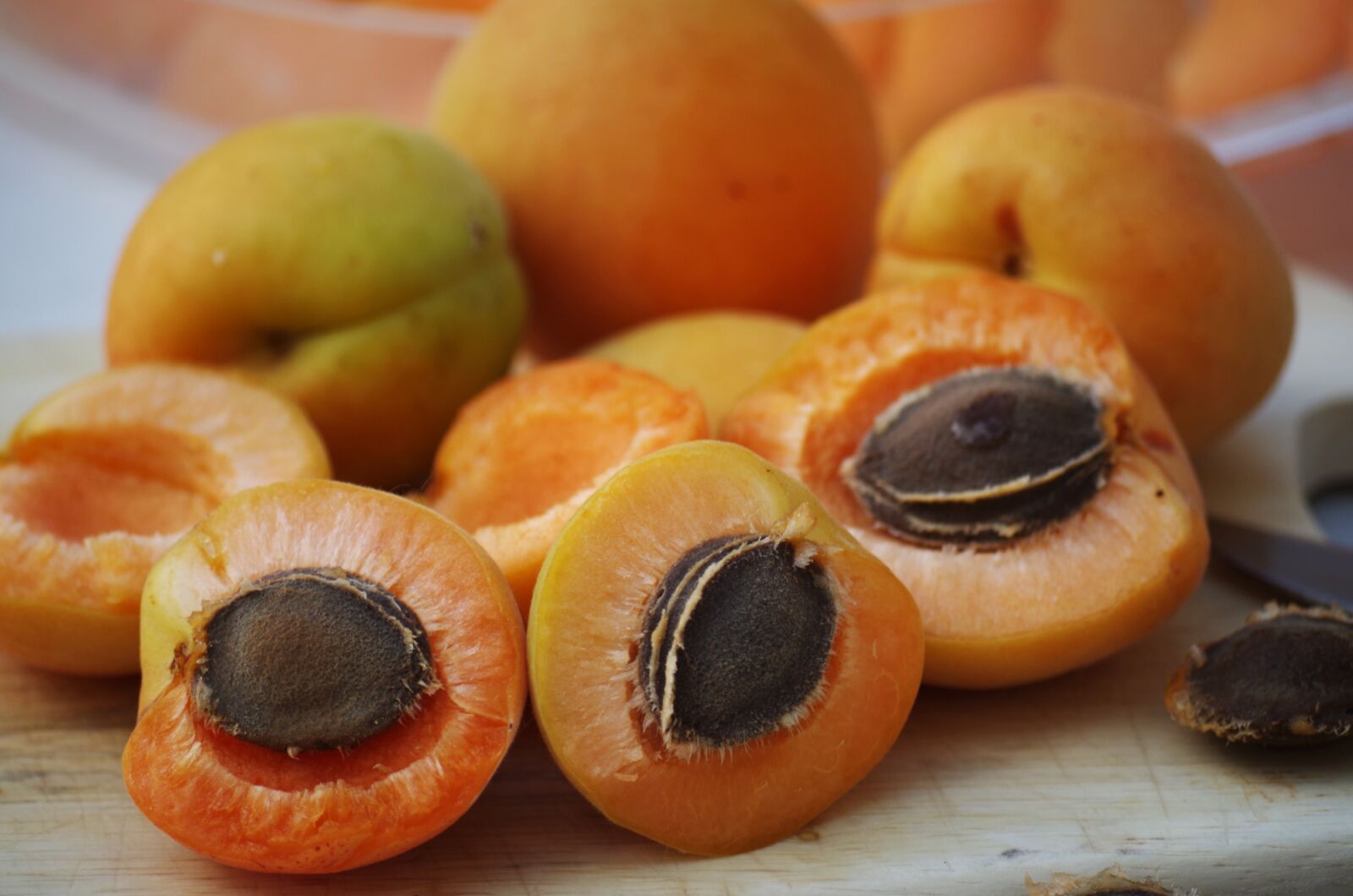 Pentax K-500 sample photo. Apricots, fruit, orange photography