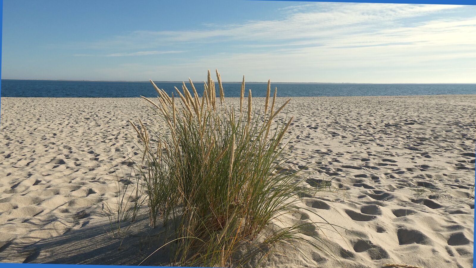 Panasonic DC-TZ91 sample photo. Beach, sand, grass photography