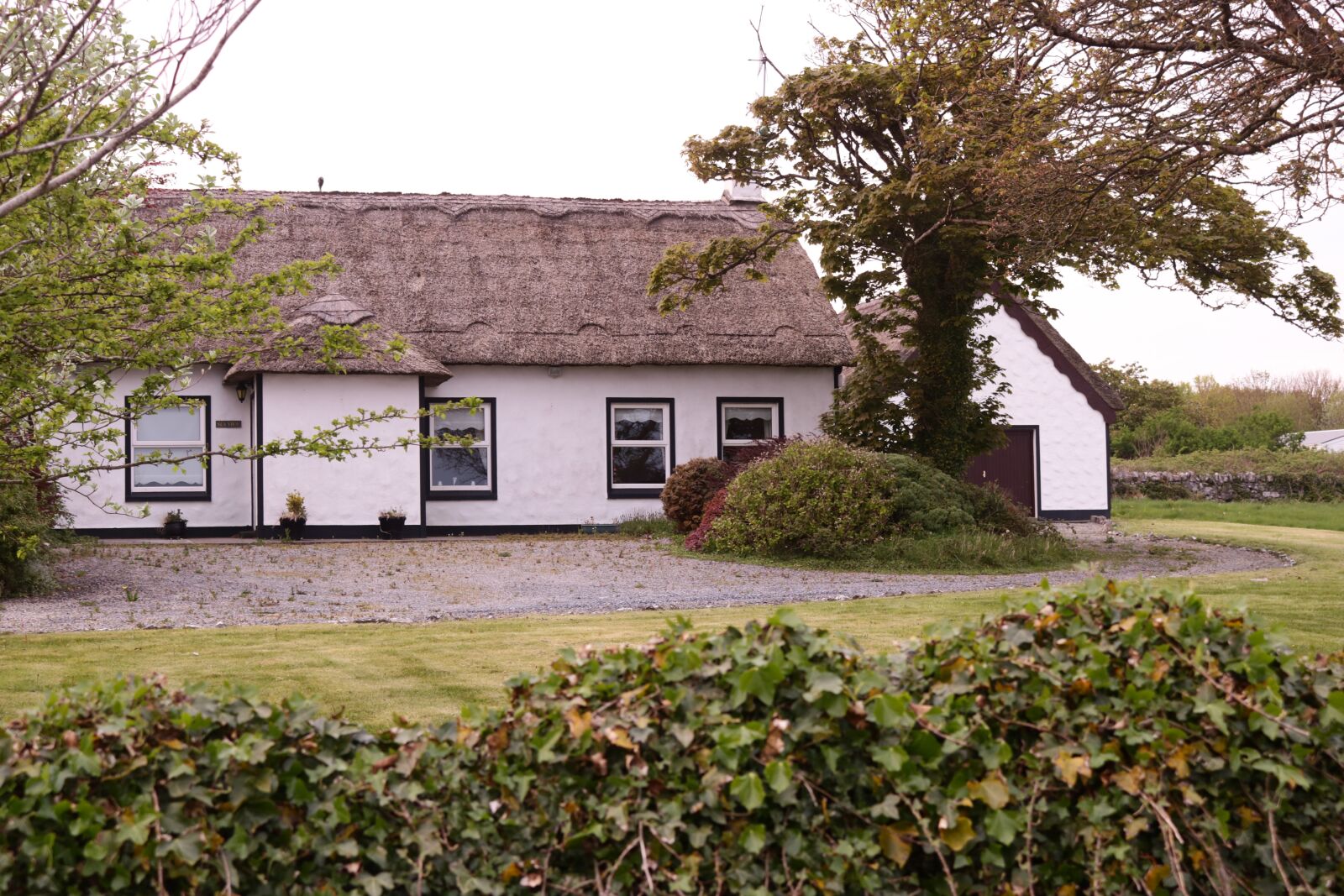 Canon EOS 750D (EOS Rebel T6i / EOS Kiss X8i) sample photo. Tatched cottage, cottage, irish photography