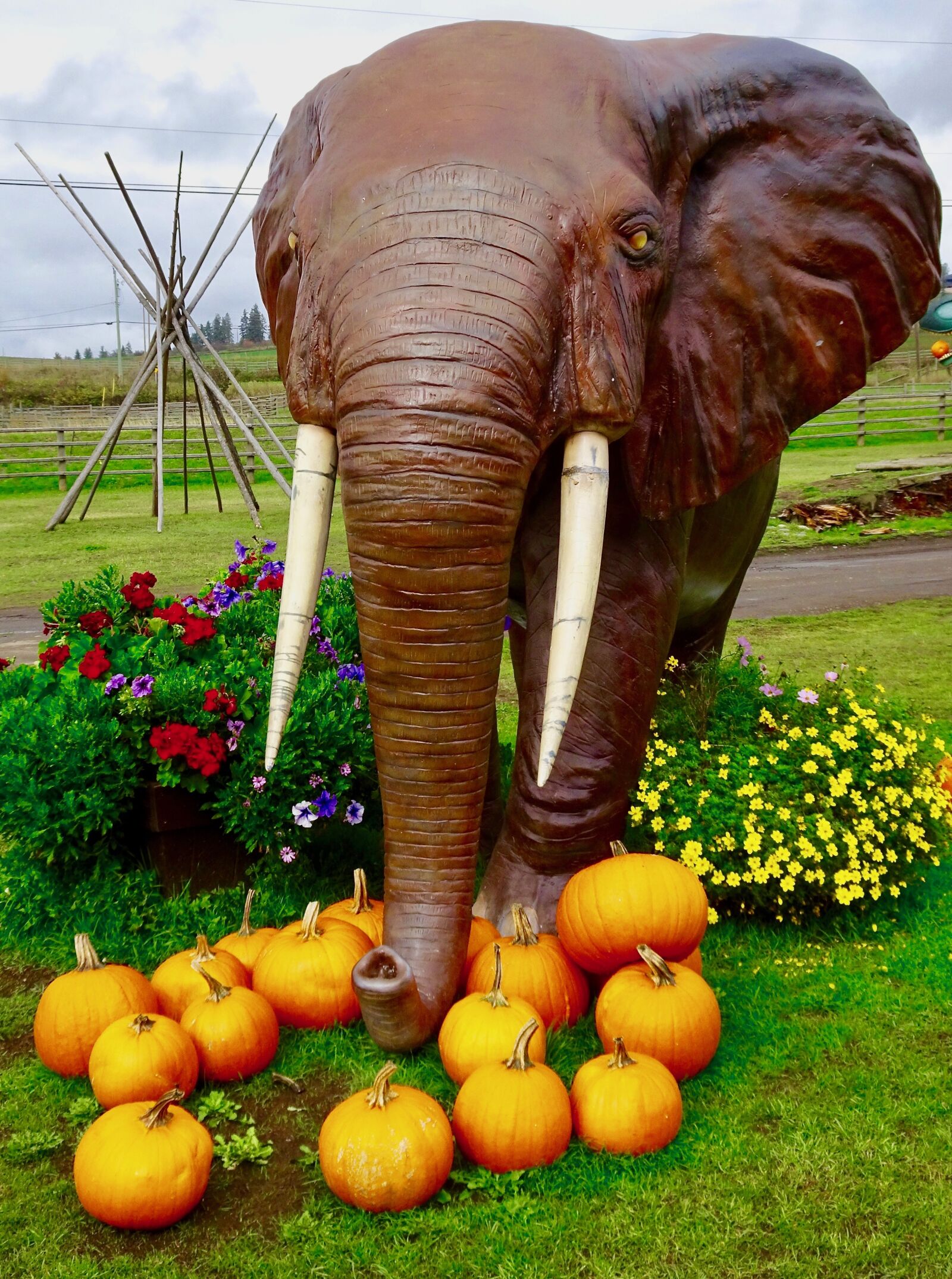 Sony Cyber-shot DSC-HX90V sample photo. Elephant, sculpture, statue photography