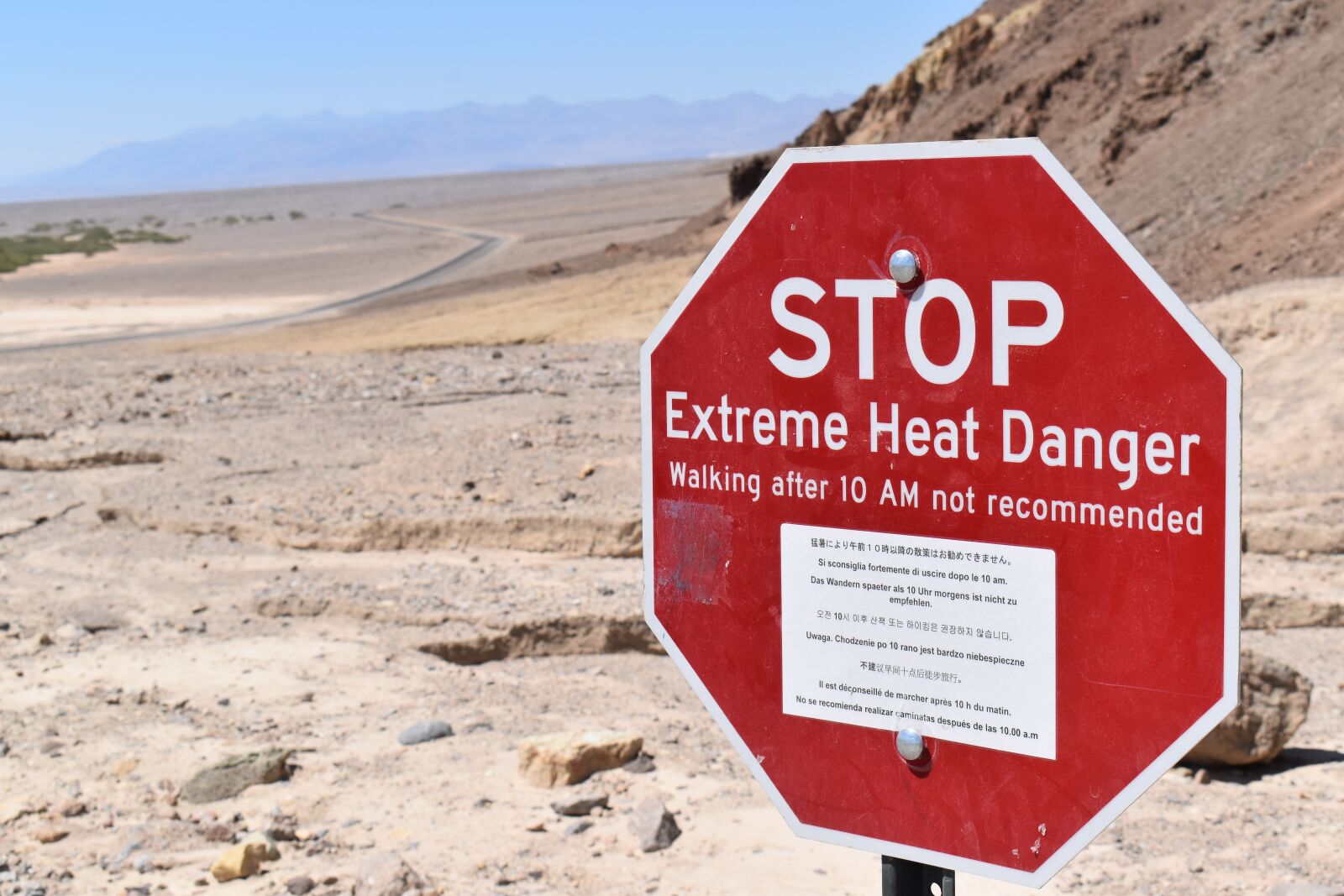 Nikon D5600 sample photo. Desert, hot, arid photography