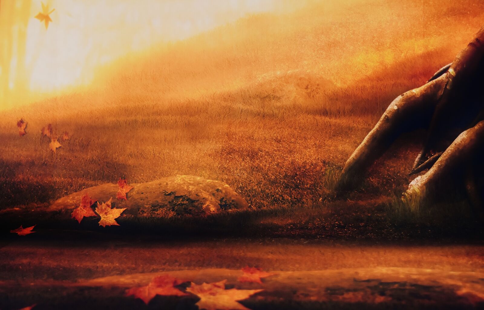 Nikon D7200 sample photo. Background image, forest, autumn photography