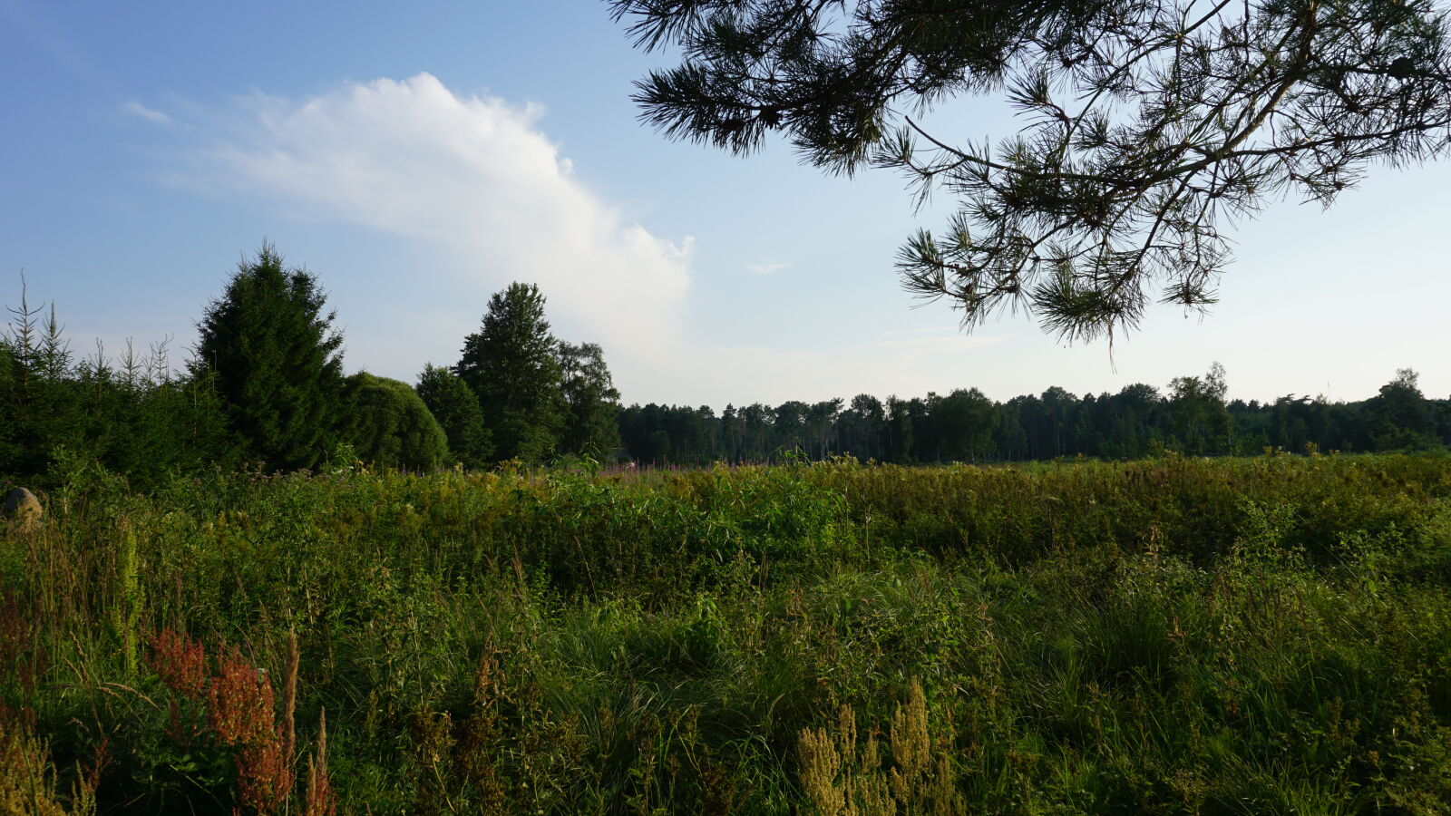 Sony a6000 sample photo