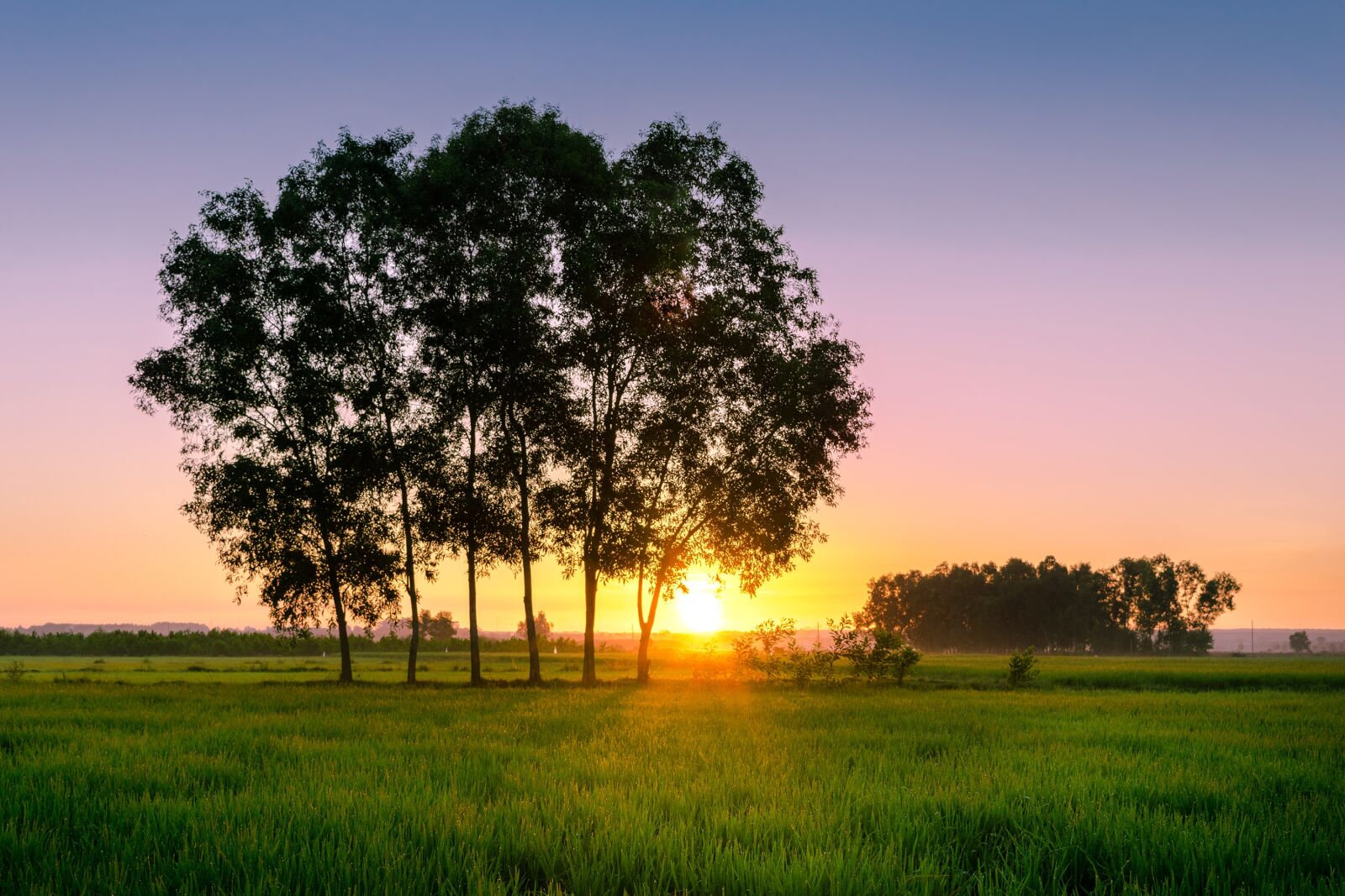 Nikon D3300 sample photo. Village, rural, countryside photography