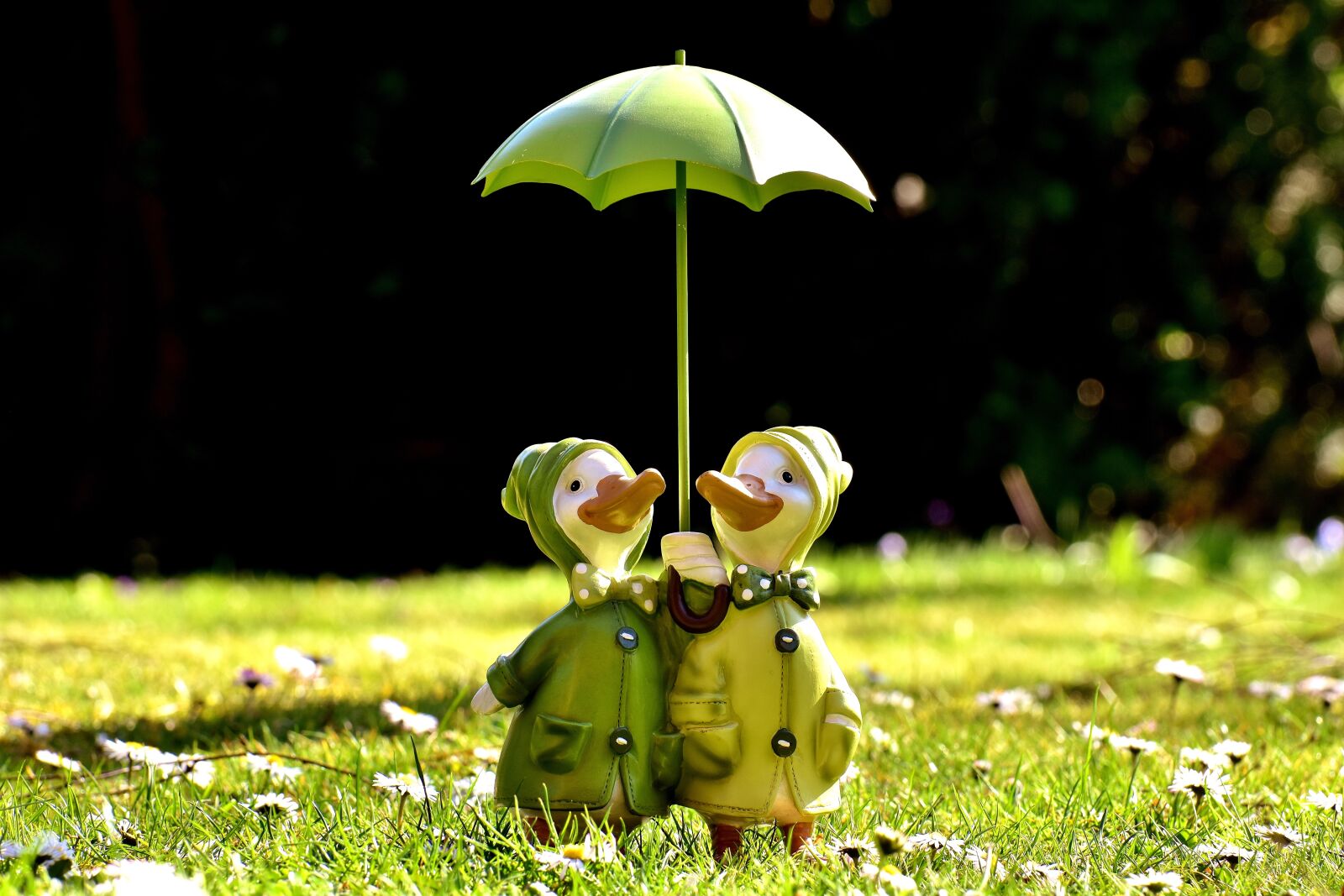 Nikon D7200 sample photo. Ducks, figures, parasol photography