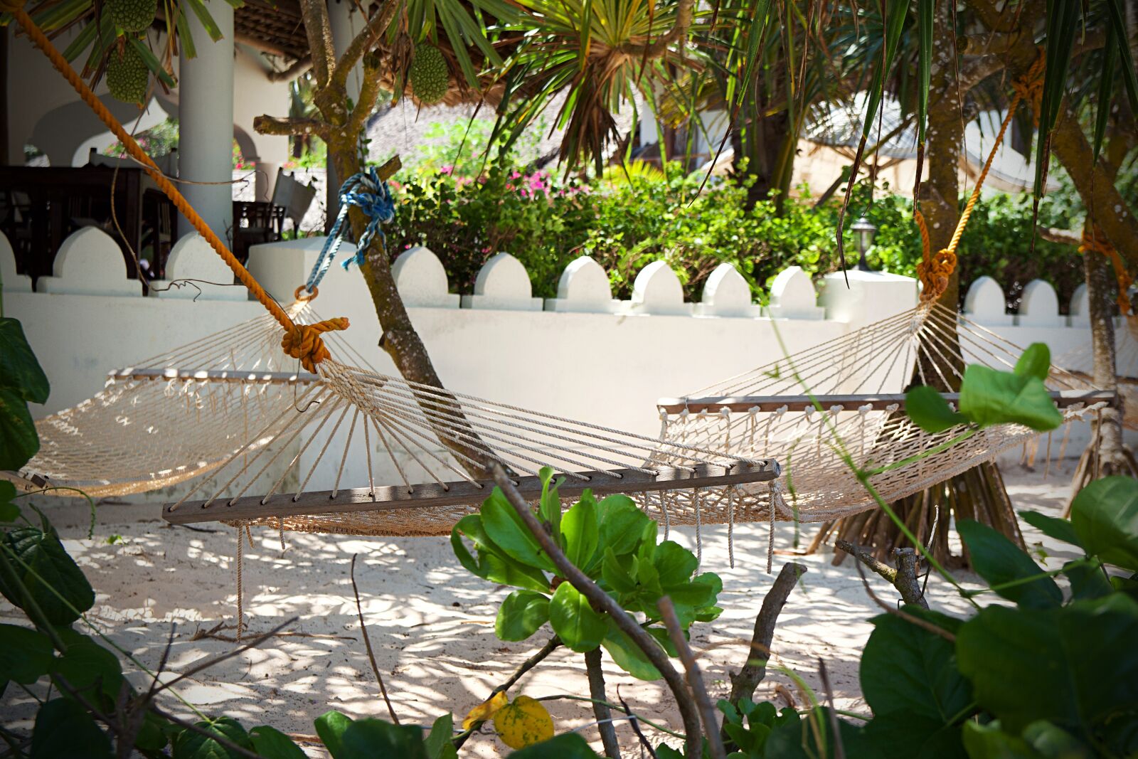 Canon EOS 600D (Rebel EOS T3i / EOS Kiss X5) sample photo. Tanzania, zanzibar, africa photography
