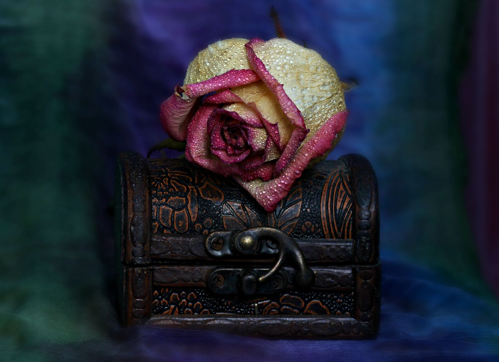 Canon EOS 700D (EOS Rebel T5i / EOS Kiss X7i) + Canon EF 85mm F1.8 USM sample photo. Rose, box, dry photography