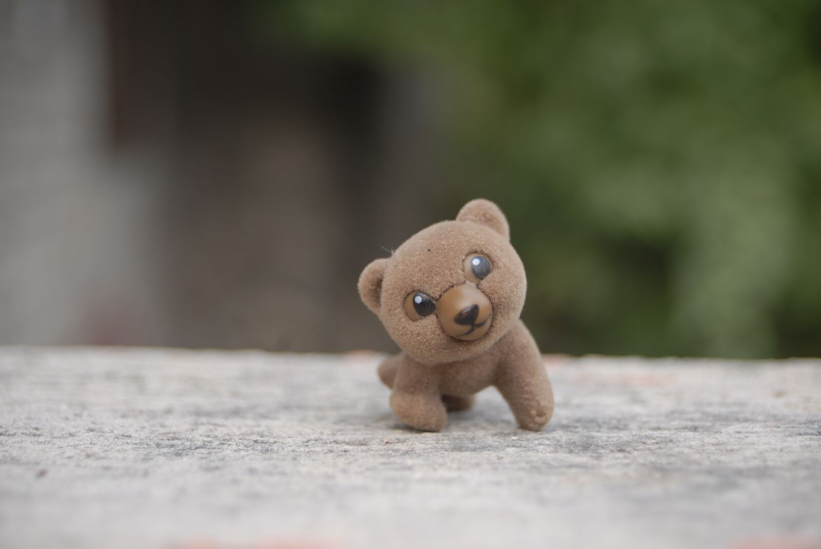 Nikon D200 sample photo. Bear, toy, tenderness photography