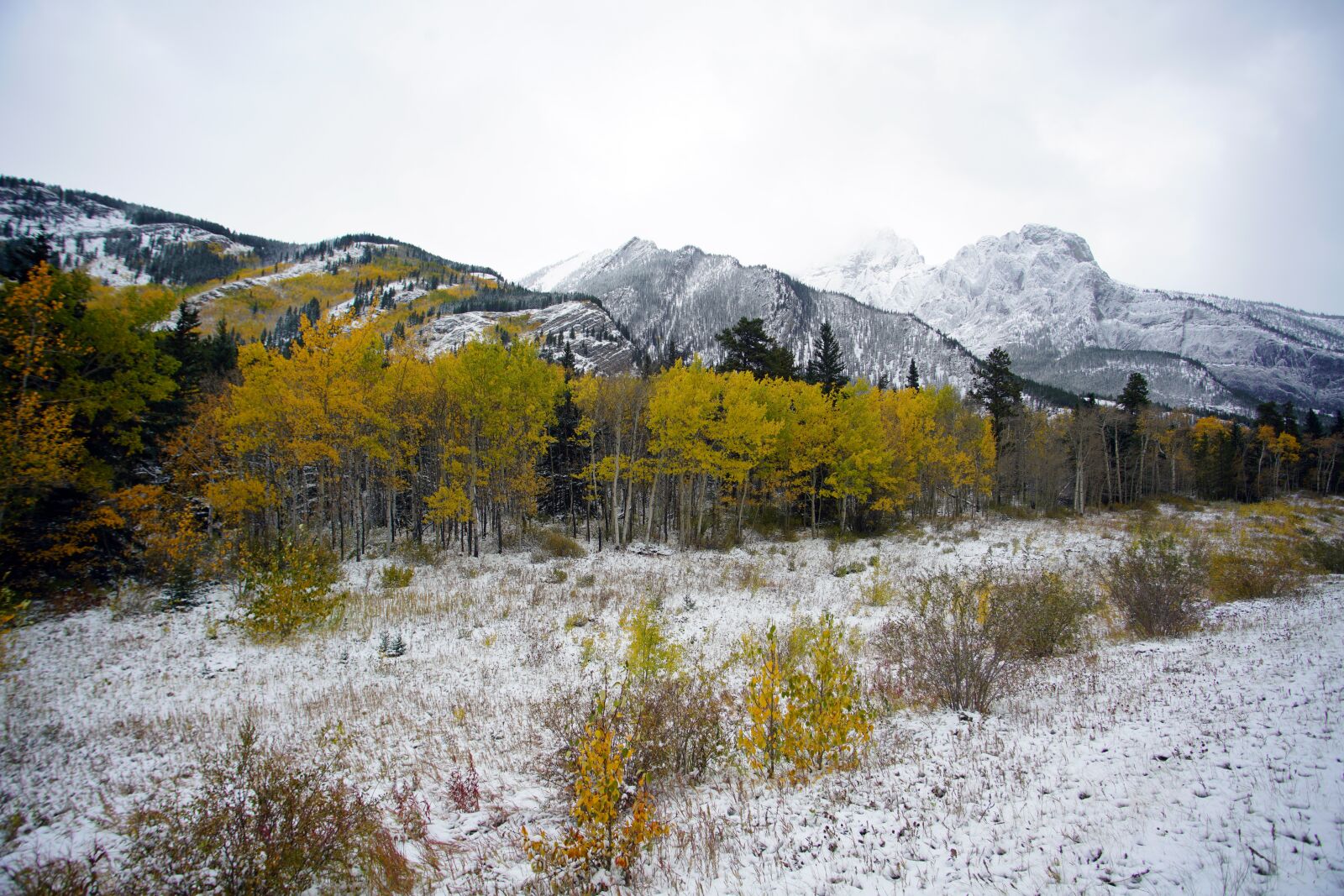 Sony a99 II sample photo. Mountains, alberta, canada photography