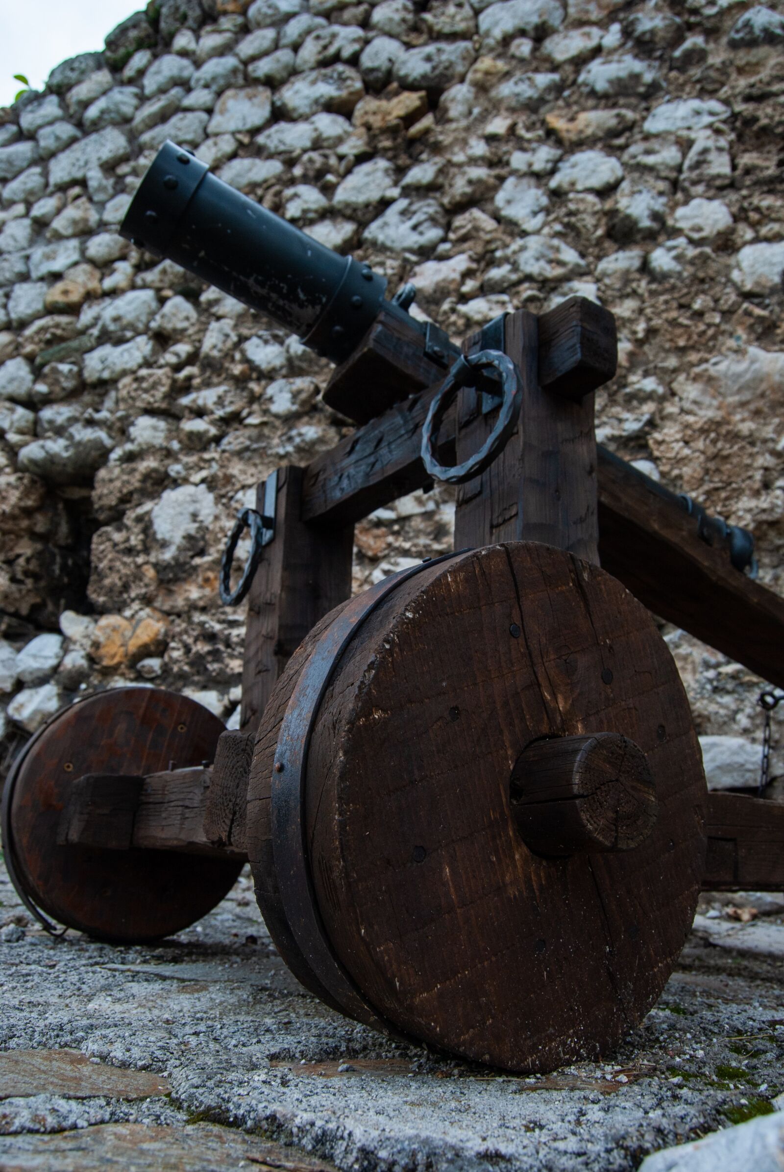 Nikon D60 sample photo. Travnik, cannon, gun photography